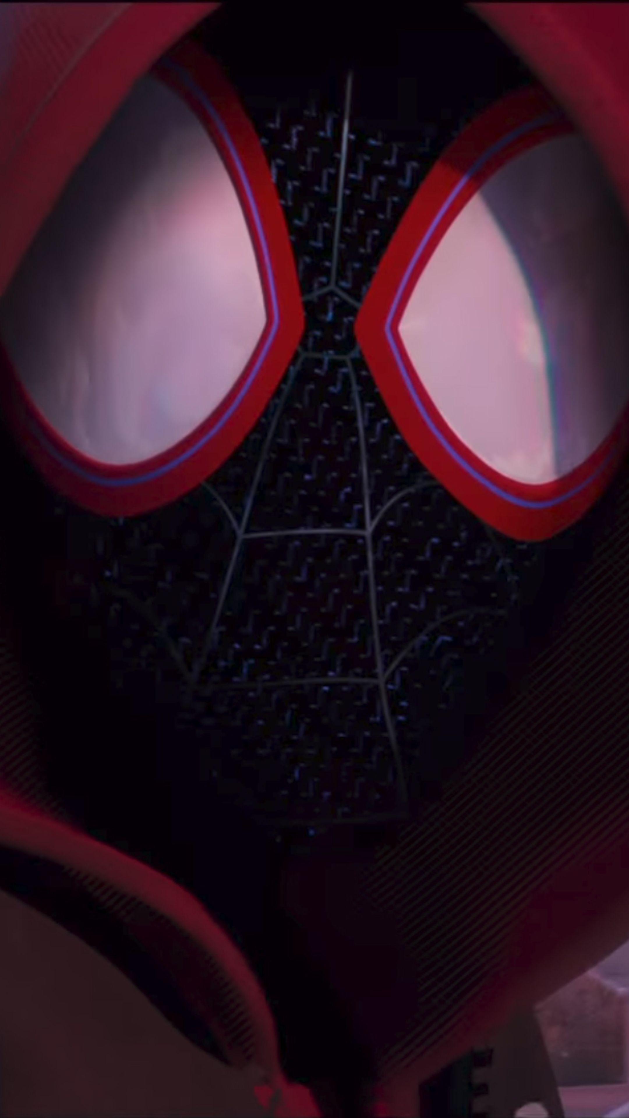 Spiderman Into The Spider Verse 2018 Wallpapers