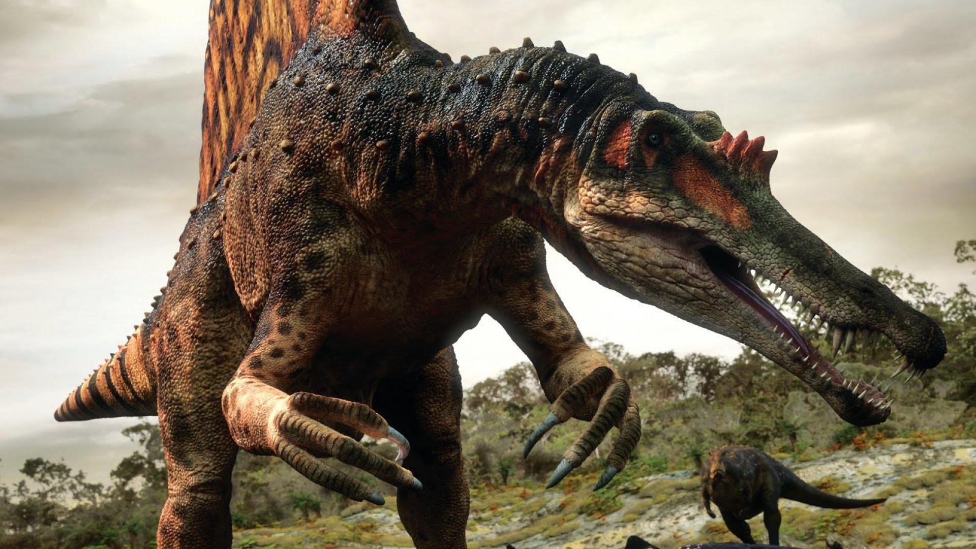 Spinosaurus Wallpapers