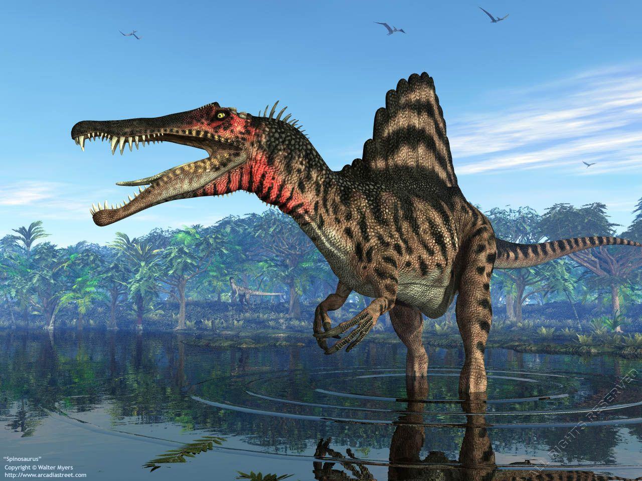 Spinosaurus Wallpapers