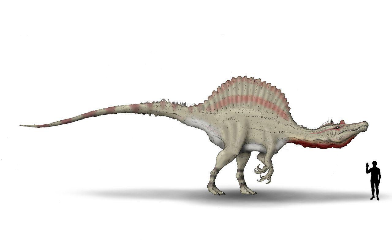 Spinosaurus Wallpapers