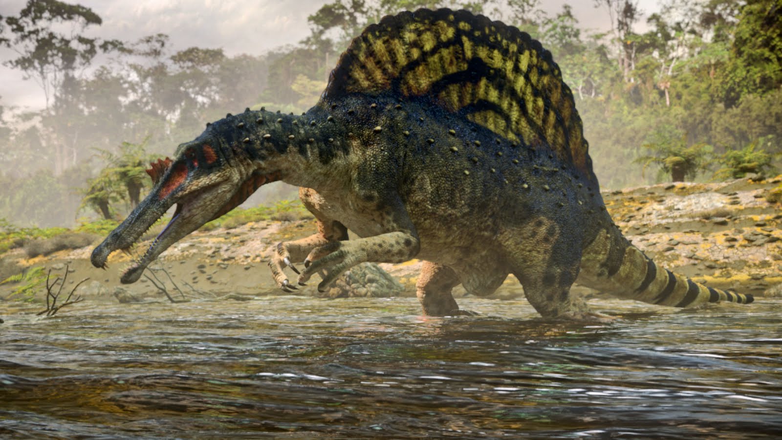 Spinosaurus Wallpapers