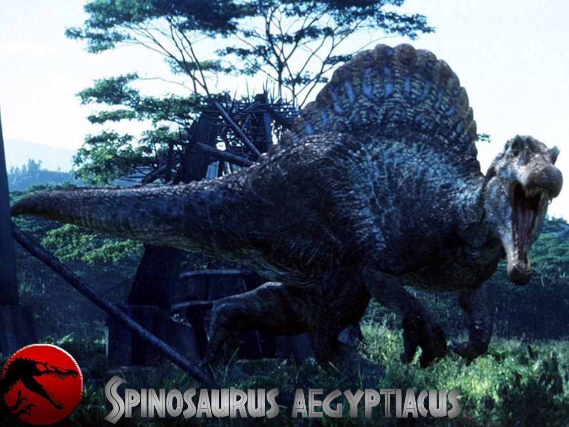 Spinosaurus Wallpapers