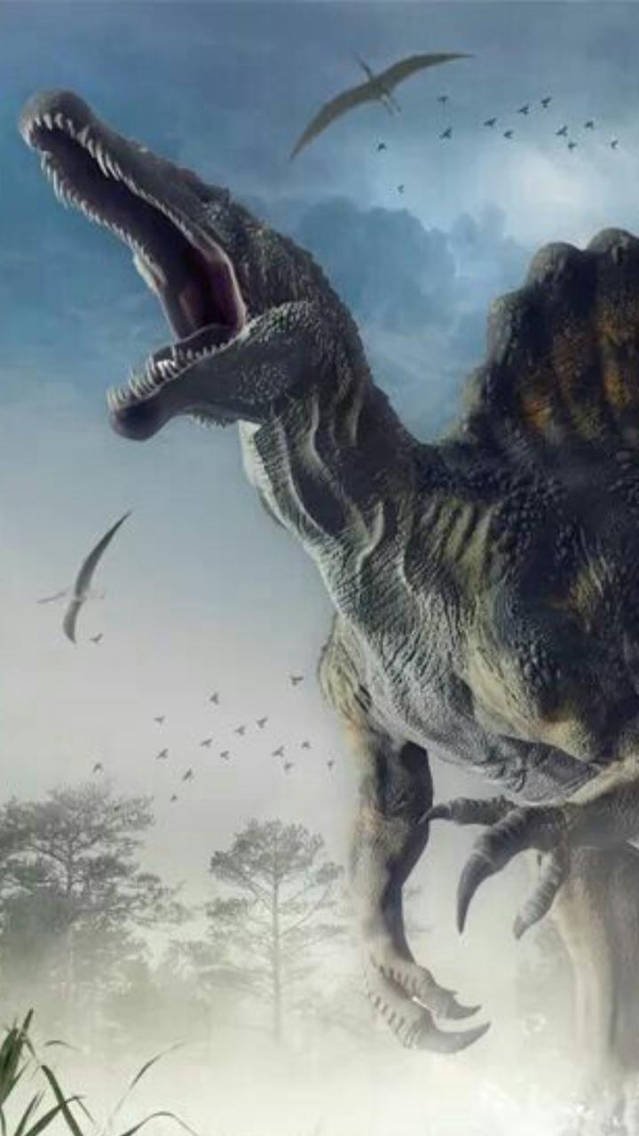 Spinosaurus Wallpapers