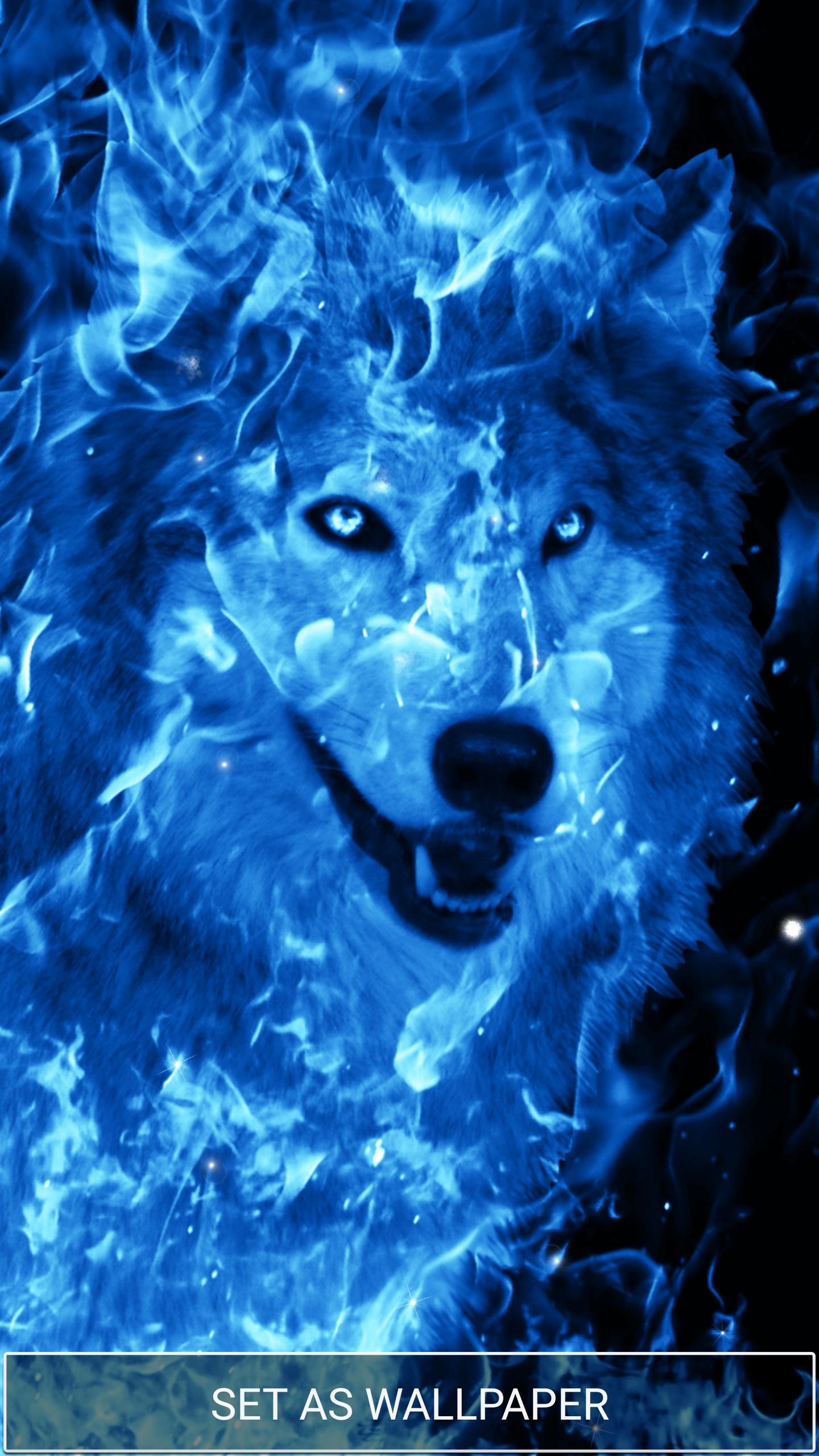 Spirit Ice Wolf Wallpapers