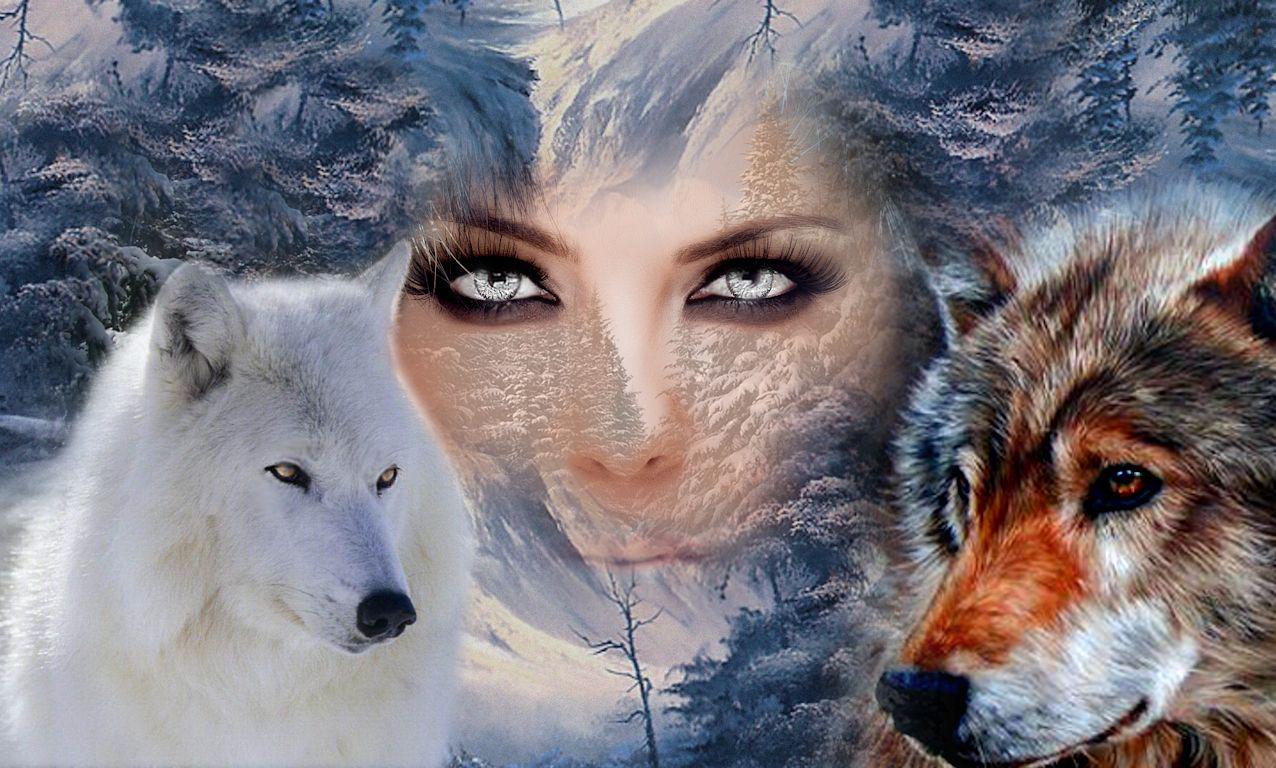 Spirit Pictures Of Wolves Wallpapers