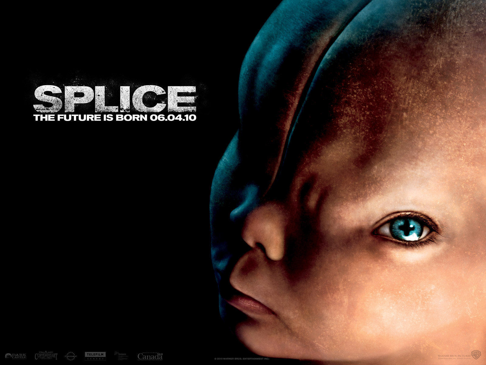 Splice Wallpapers