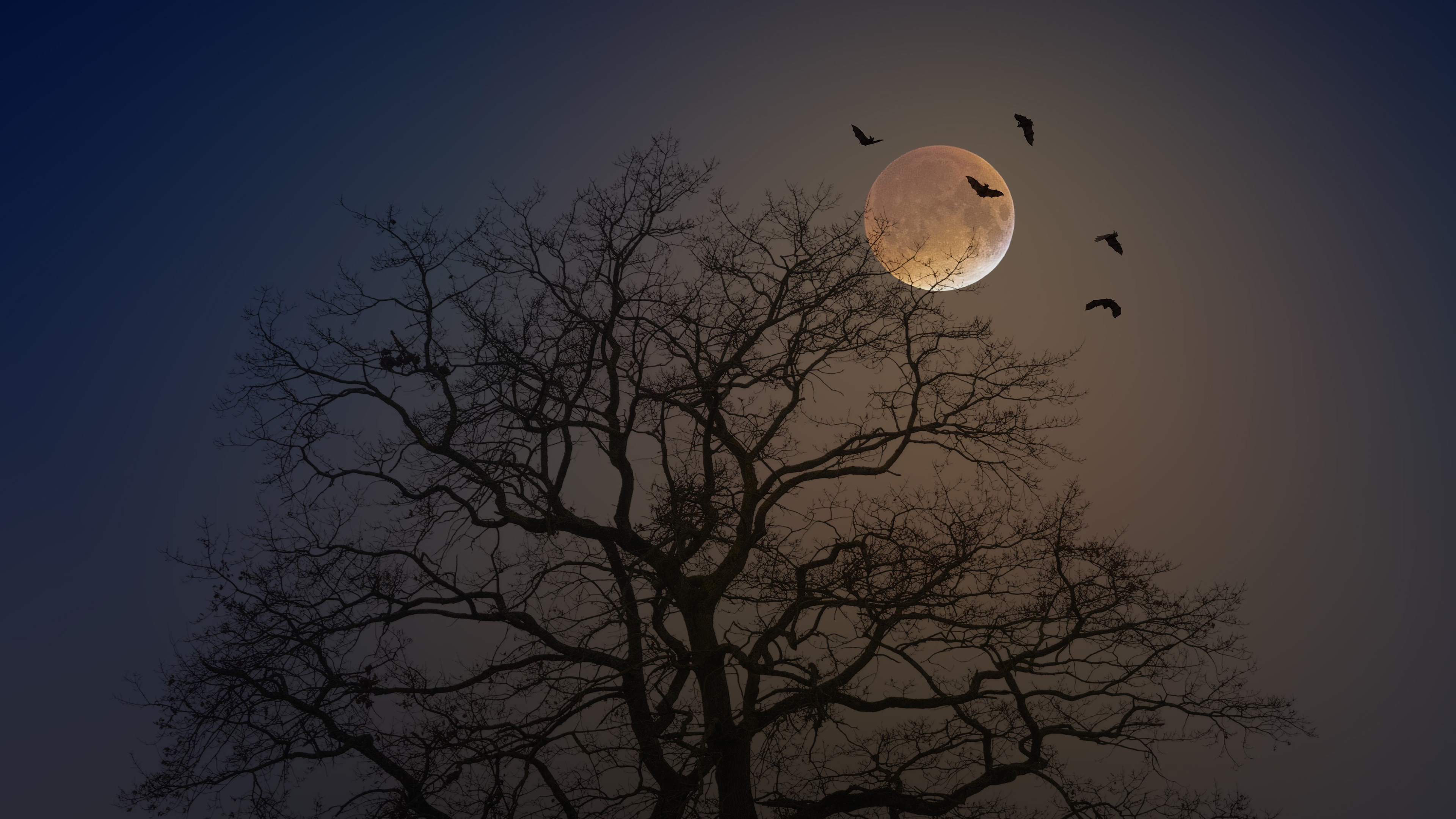 Spooky Moon Wallpapers