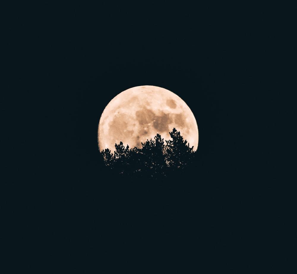 Spooky Moon Wallpapers