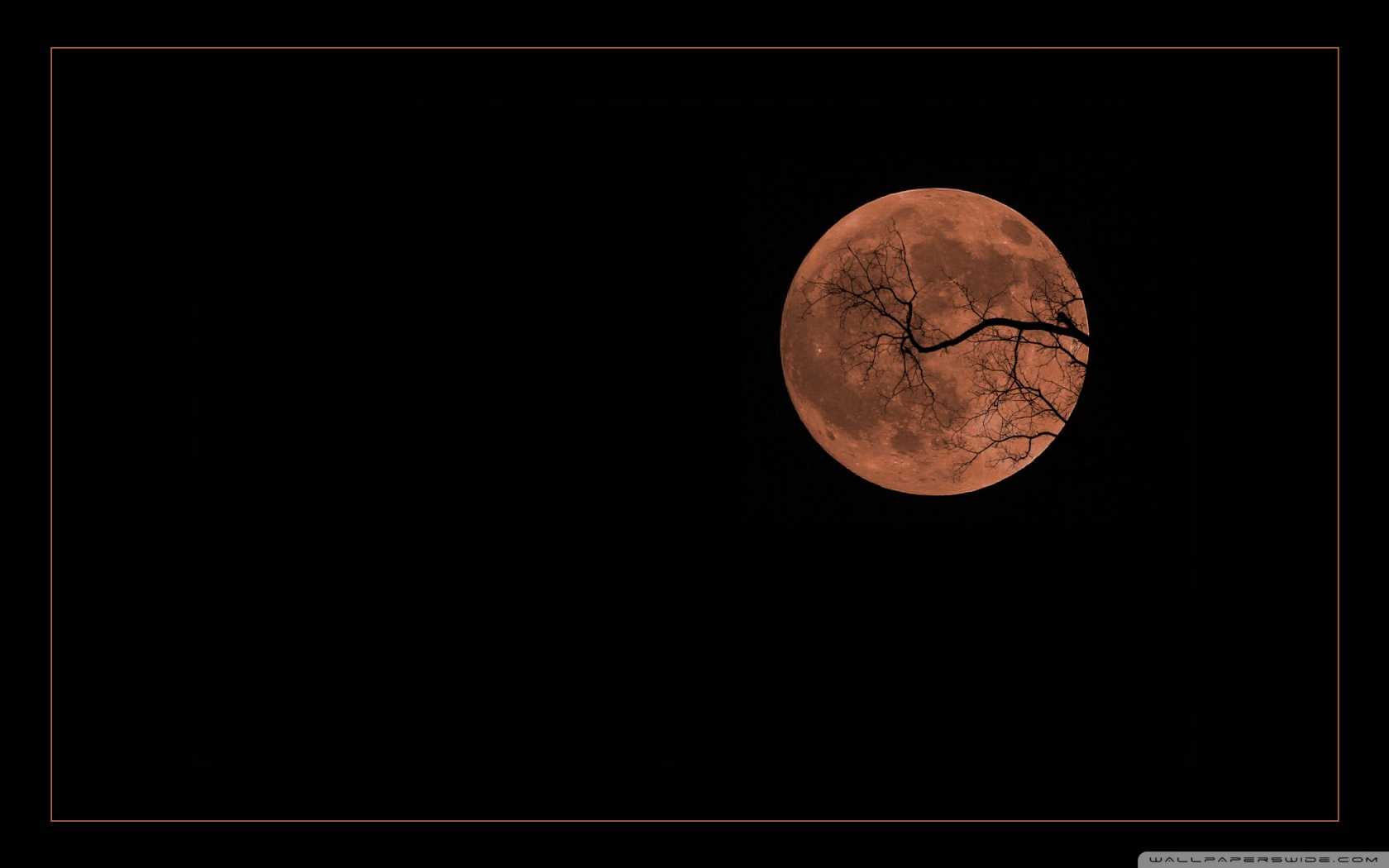 Spooky Moon Wallpapers