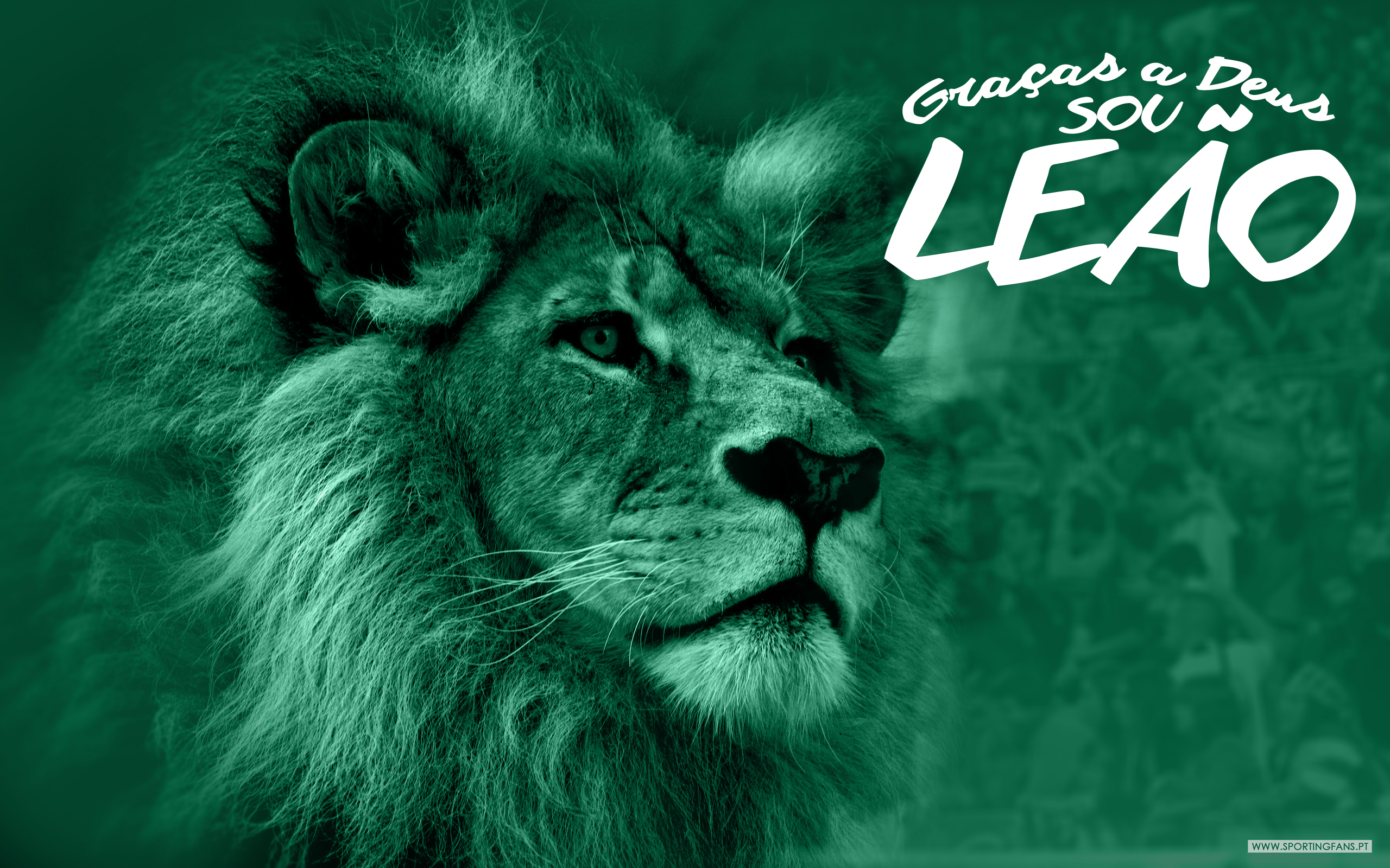 Sporting Cp Wallpapers