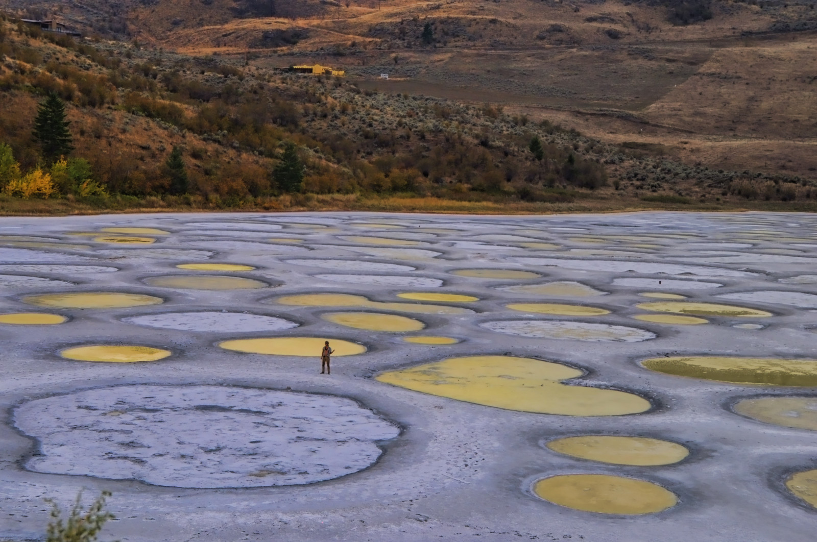 Spotted Lake Wallpapers
