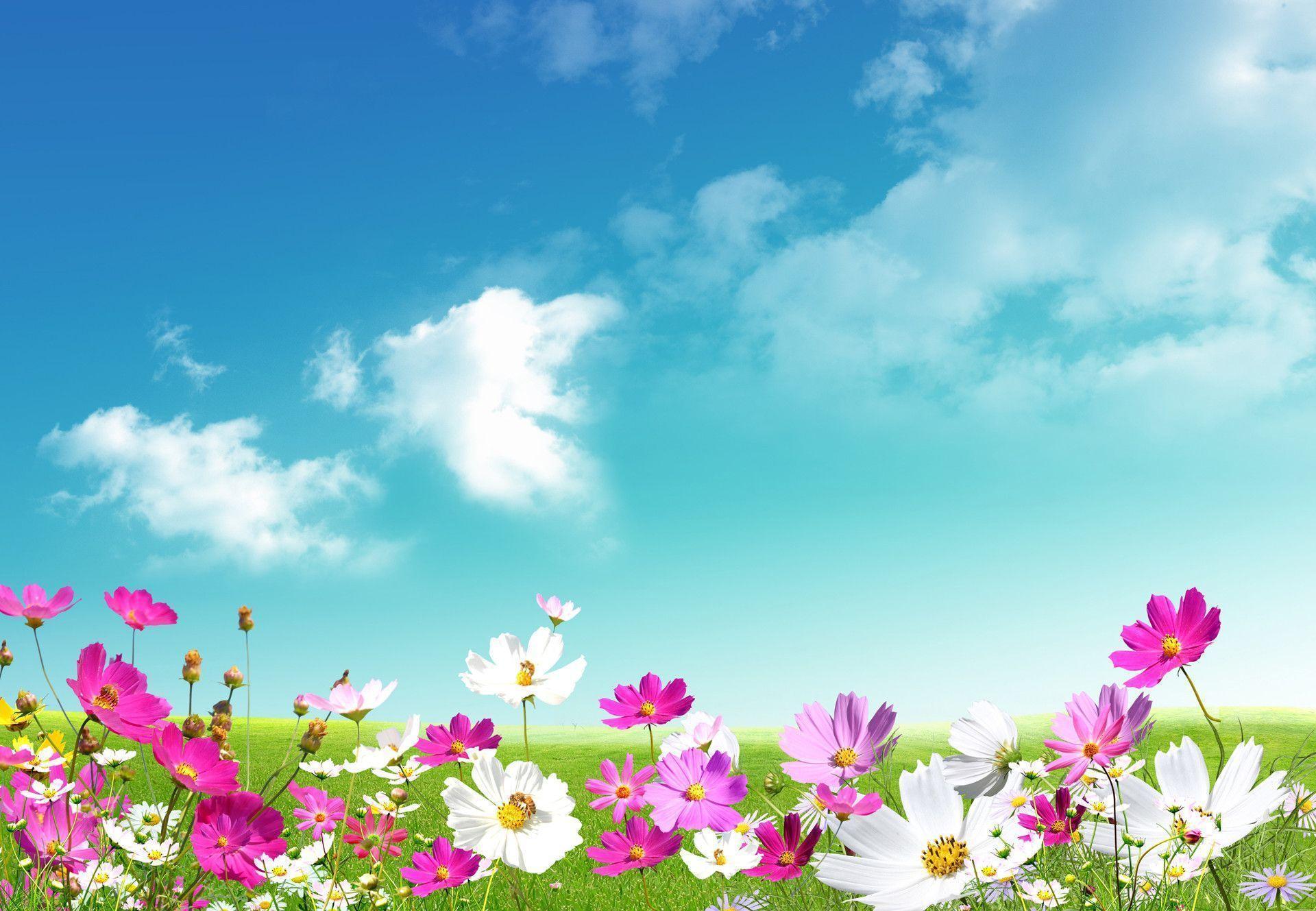 Spring Backgrounds For Computer