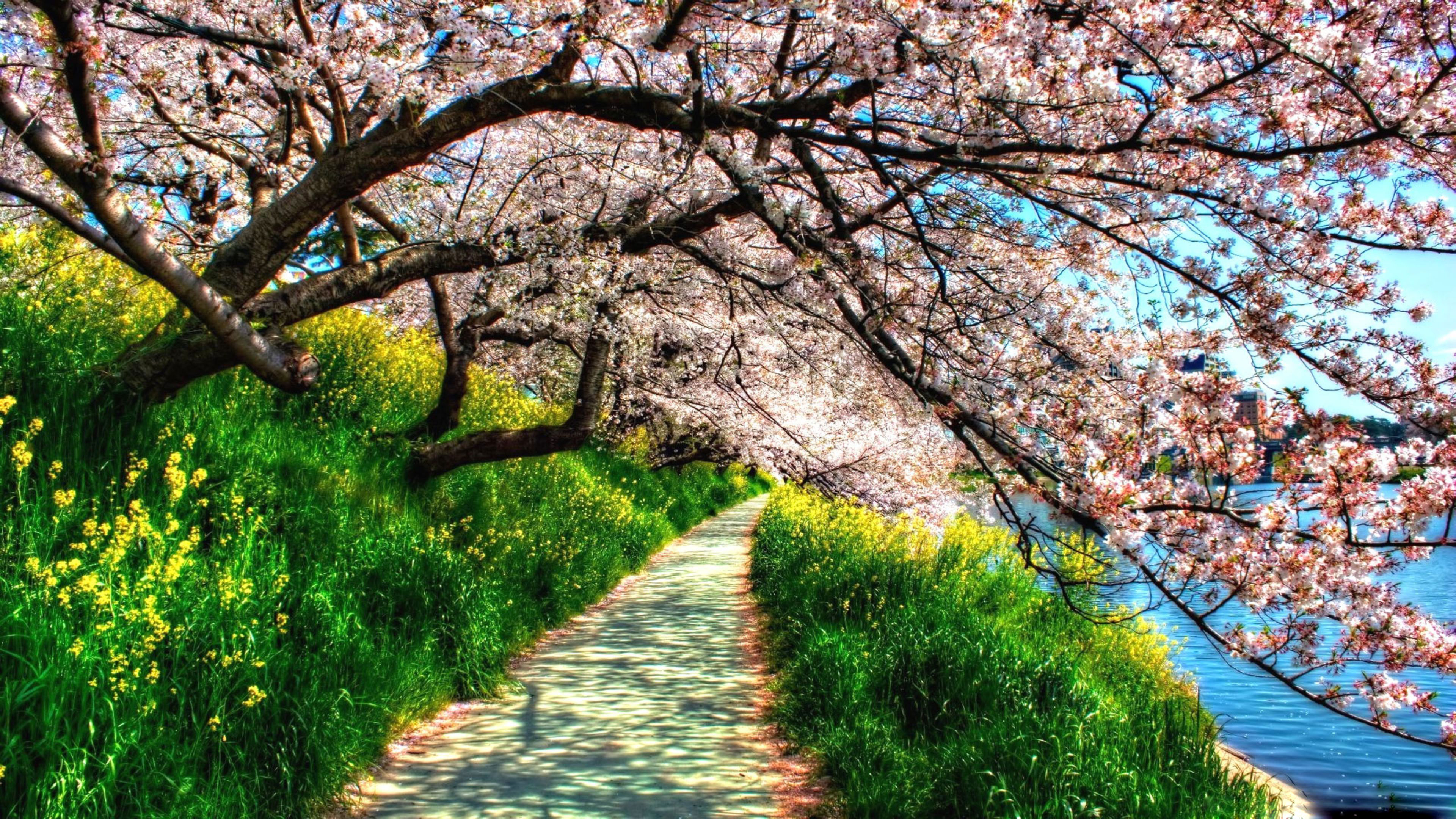 Spring Backgrounds For Computer