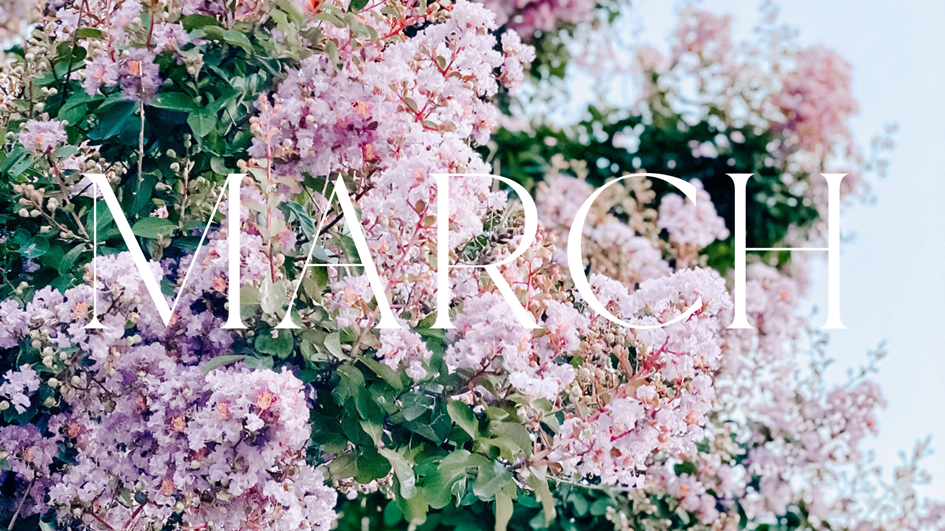 Spring Backgrounds For Computer