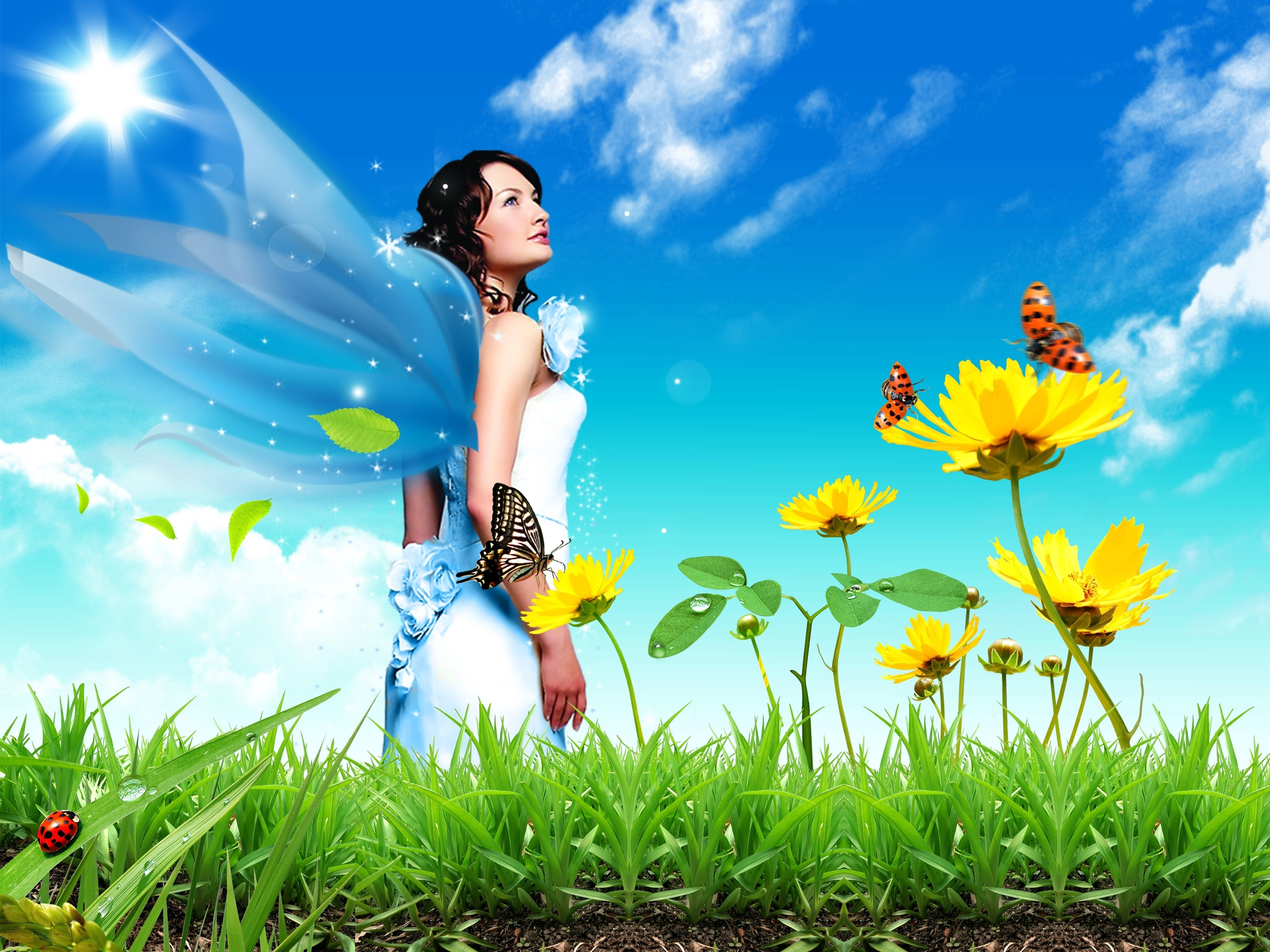 Spring Fairy Images Wallpapers