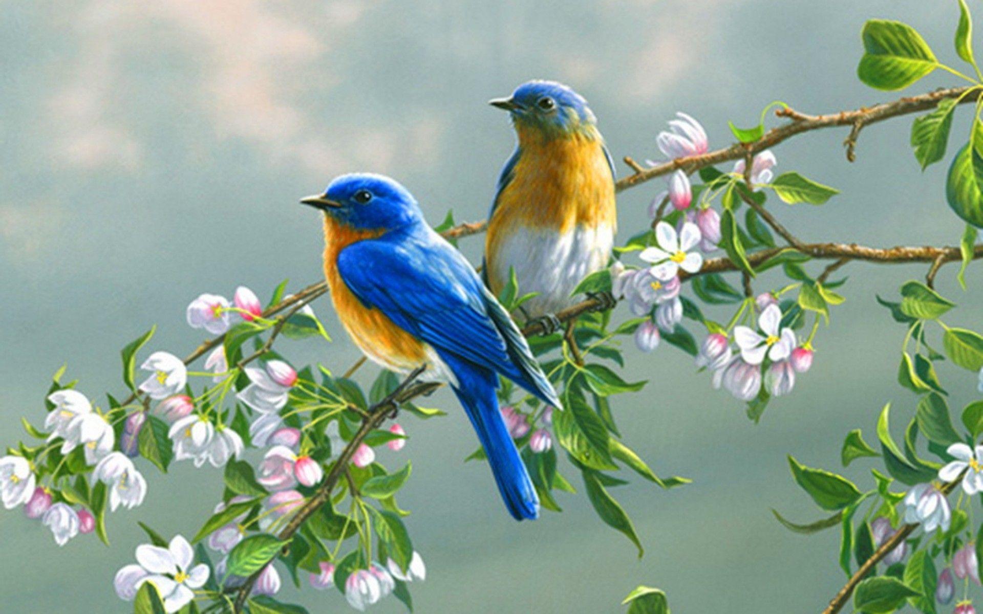 Spring Flowers And Birds Wallpapers