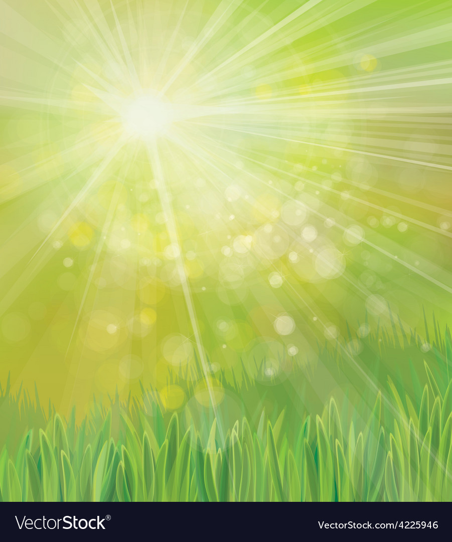 Spring Grass Background