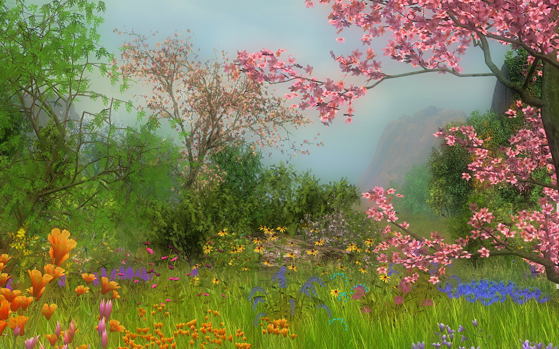 Spring Meadow Wallpapers