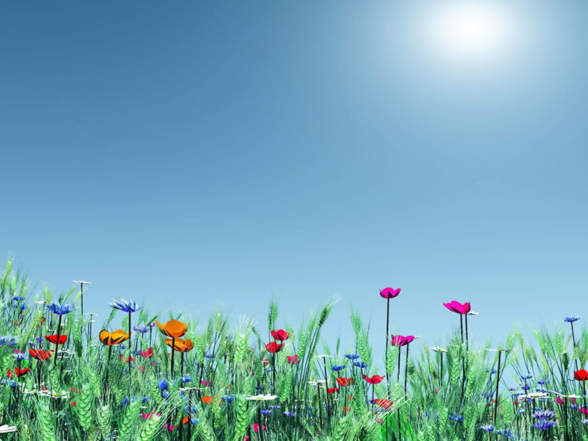 Spring Meadow Wallpapers