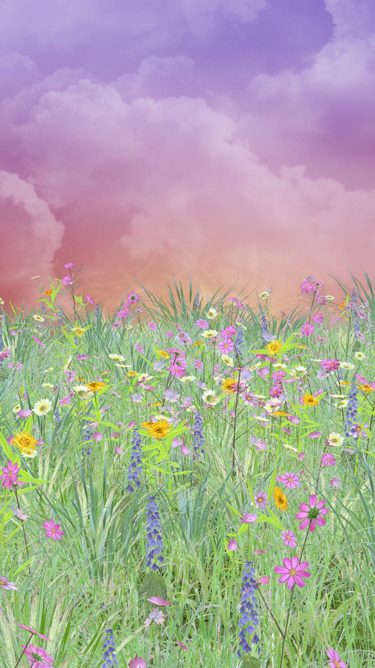 Spring Meadow Wallpapers