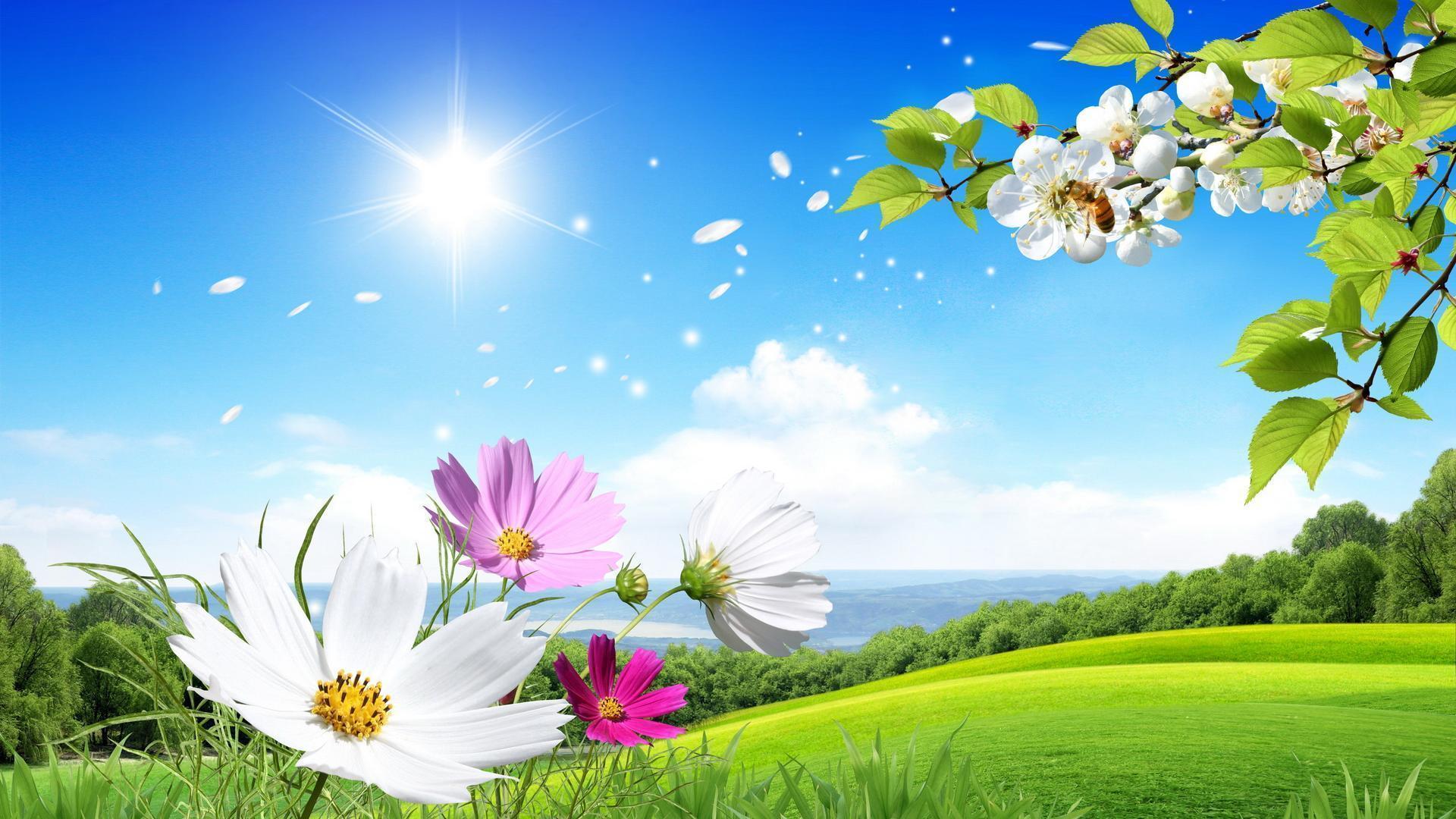 Spring Scenes Wallpapers