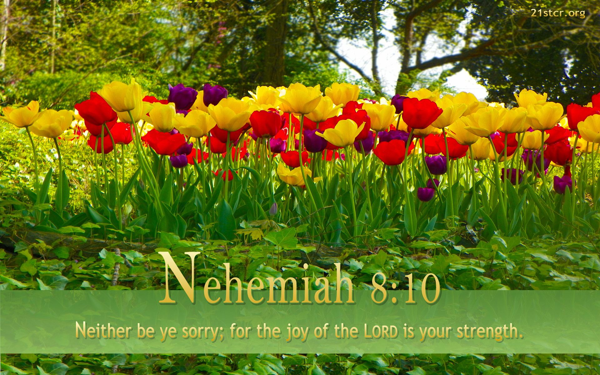 Spring Scripture Wallpapers