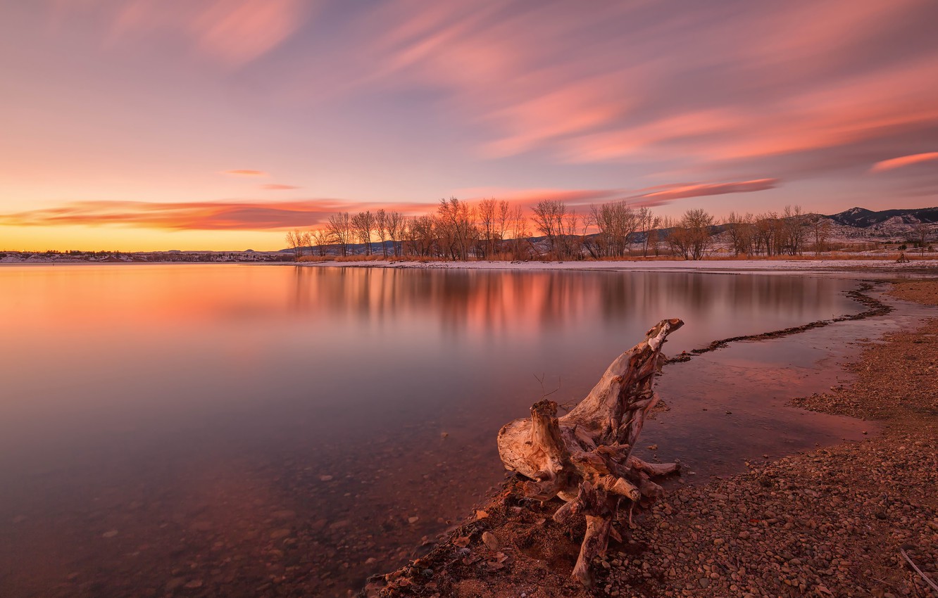 Spring Trees And Sunset Wallpapers