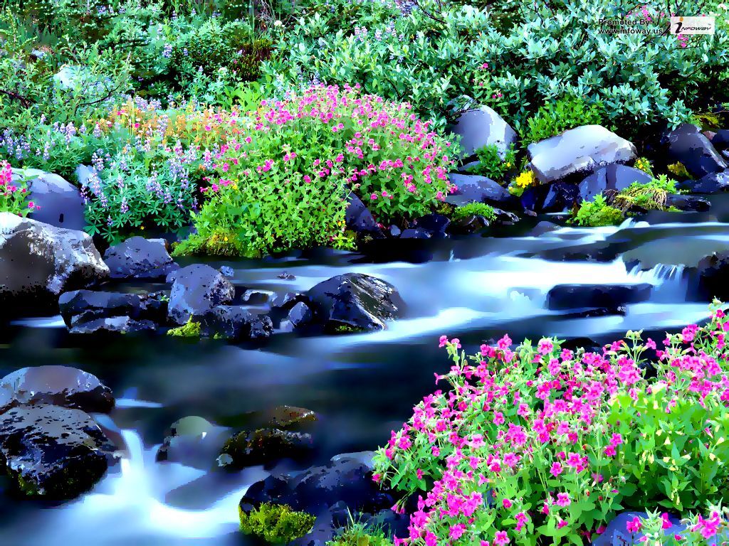 Spring Water Wallpapers