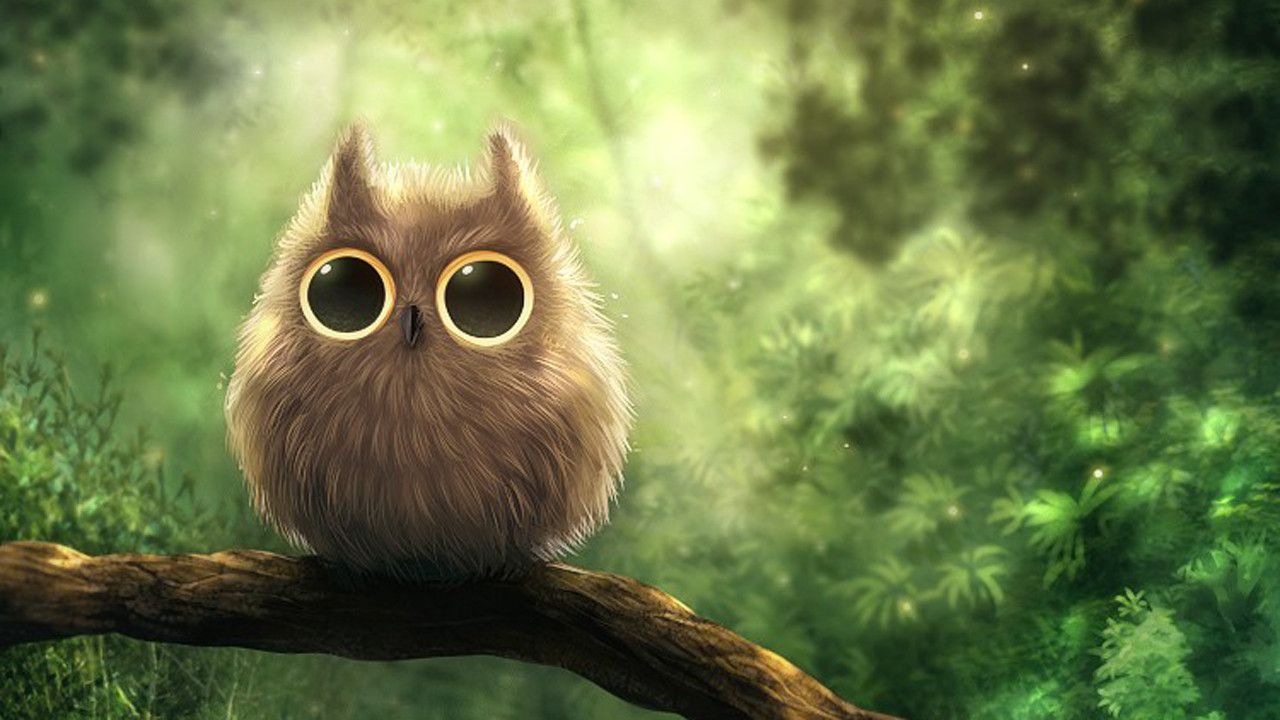 Springtime Owl Wallpapers