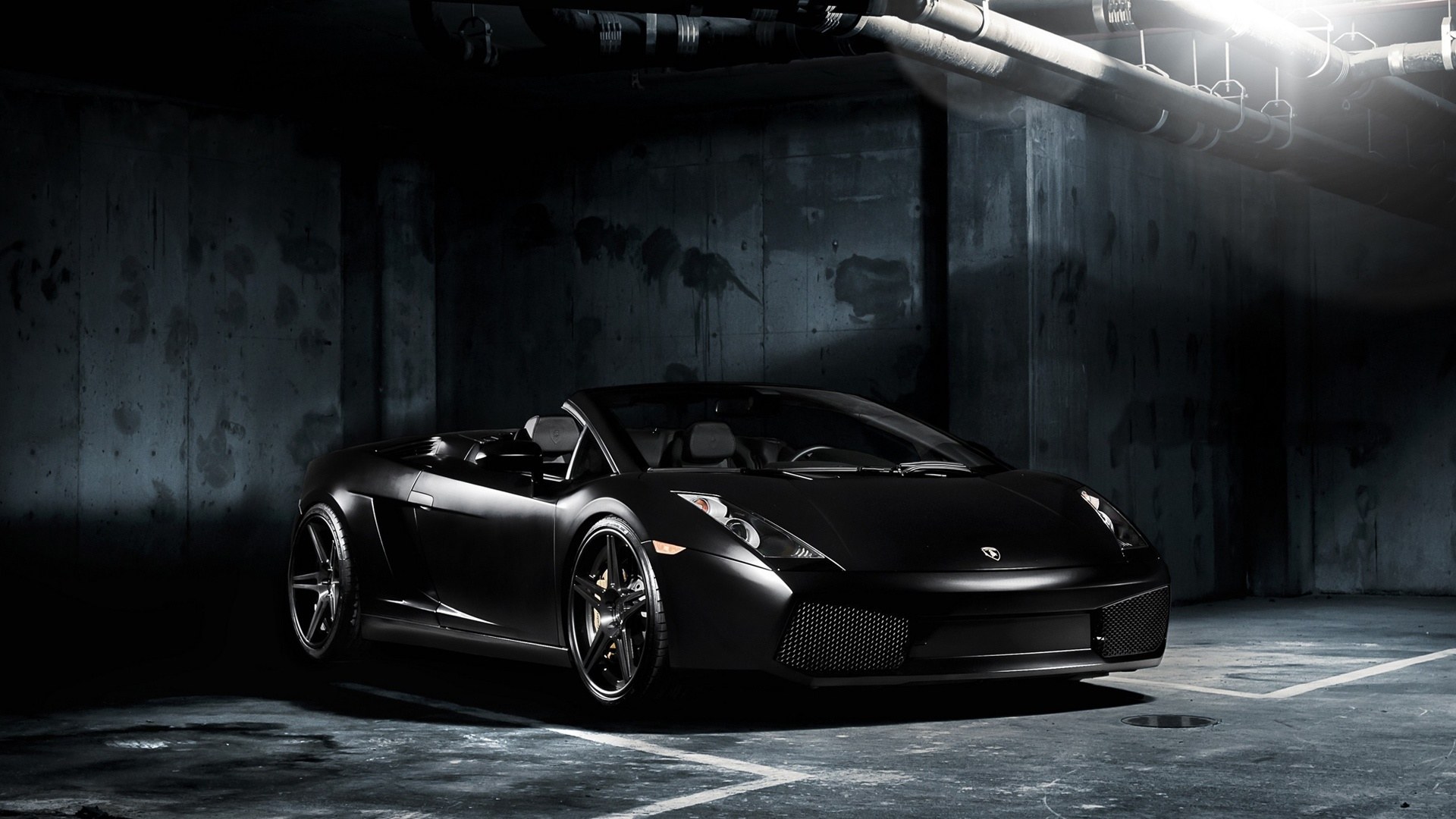 Spyder Black Background