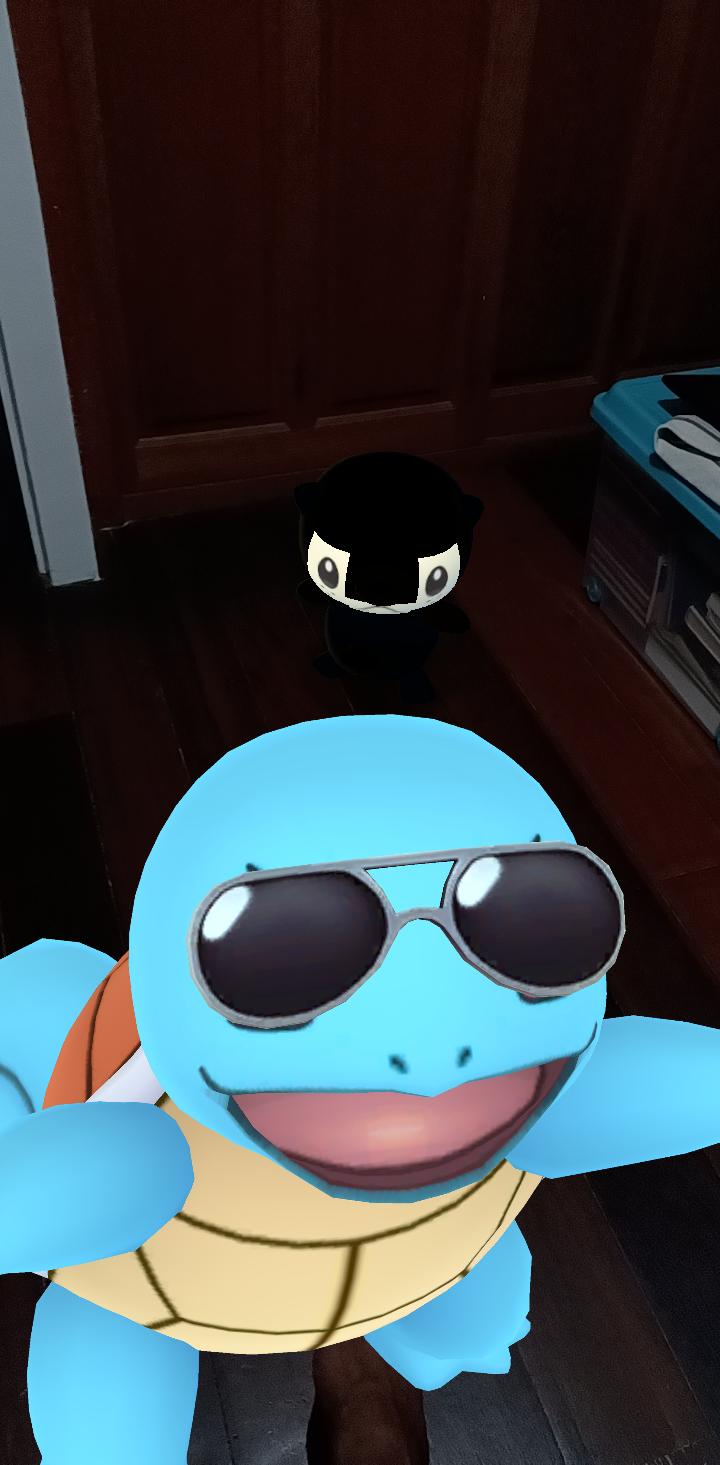 Squirtle Sunglasses Wallpapers