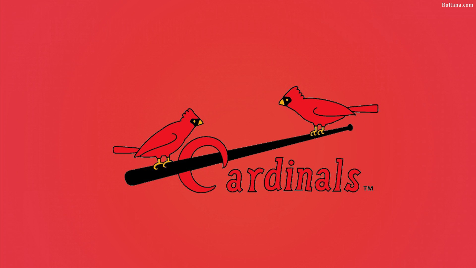 St Louis Cardinals For Android Wallpapers