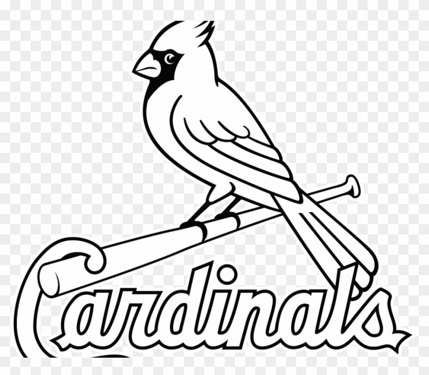 St Louis Cardinals Wallpapers