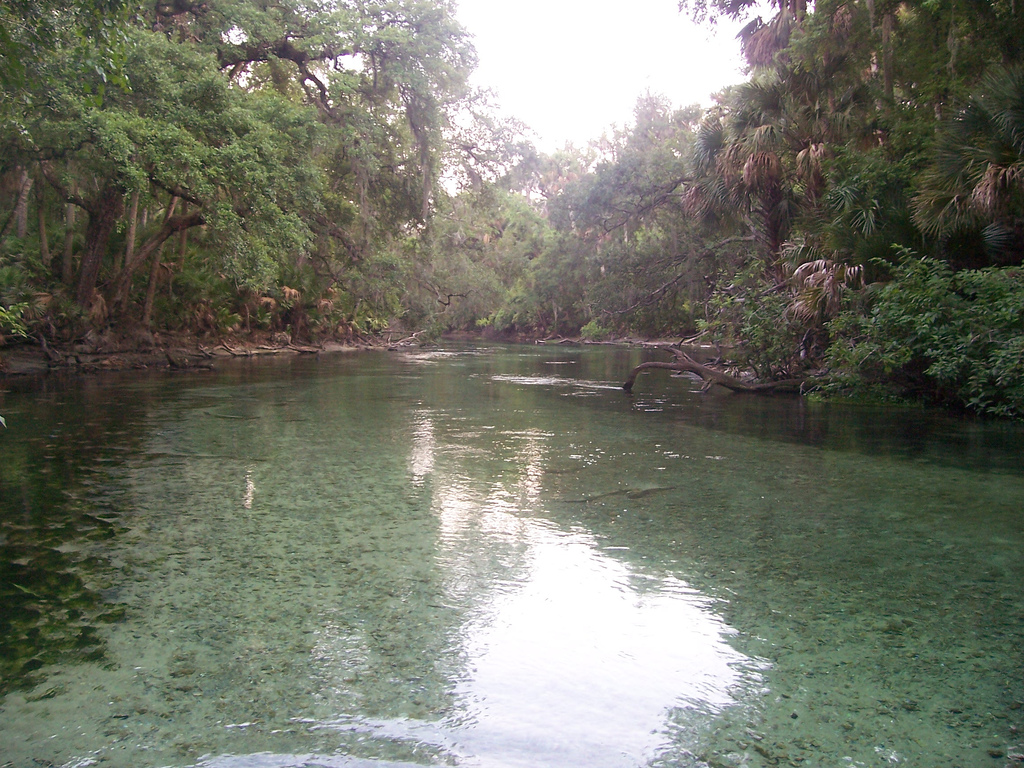 St. Johns River Wallpapers