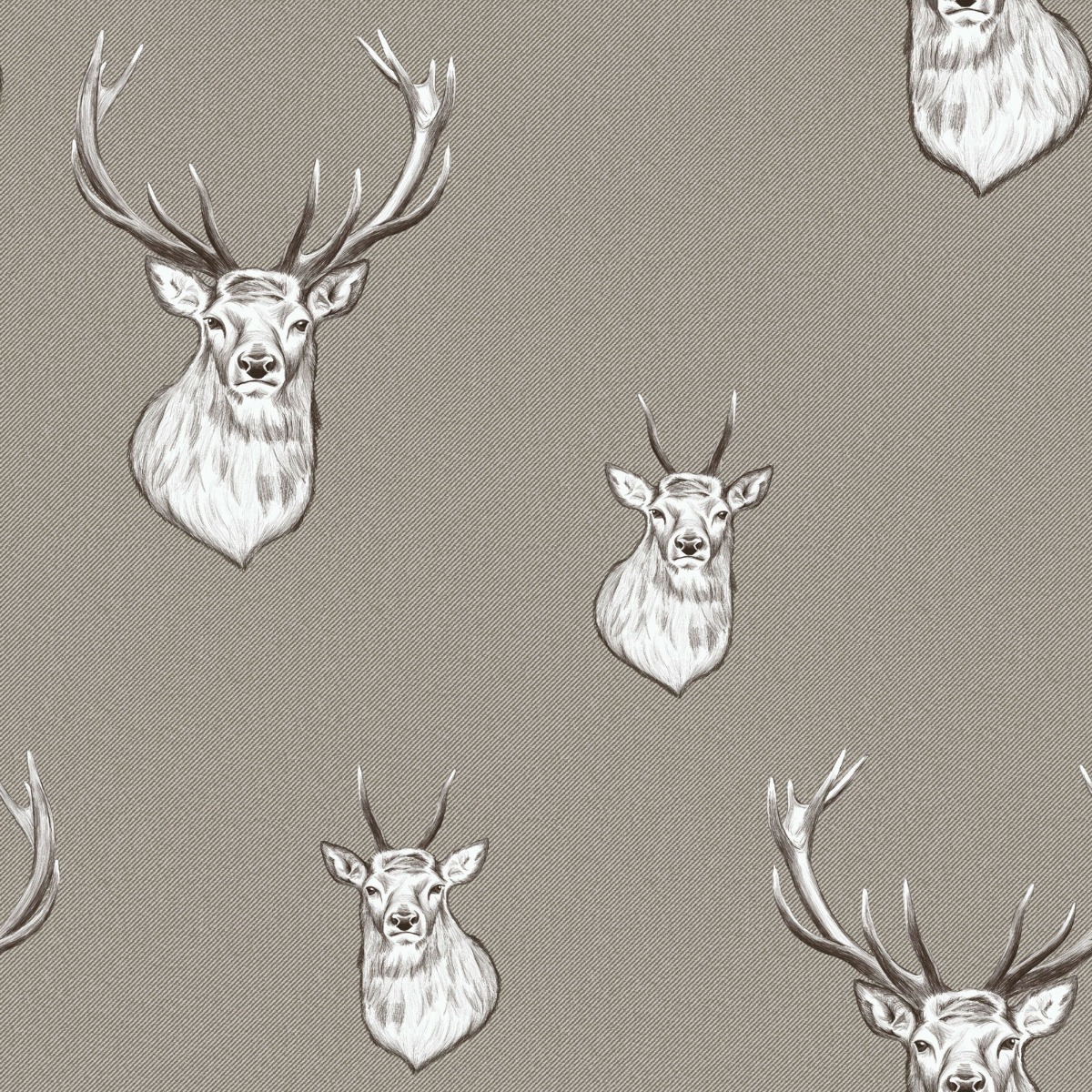 Stag Wallpapers