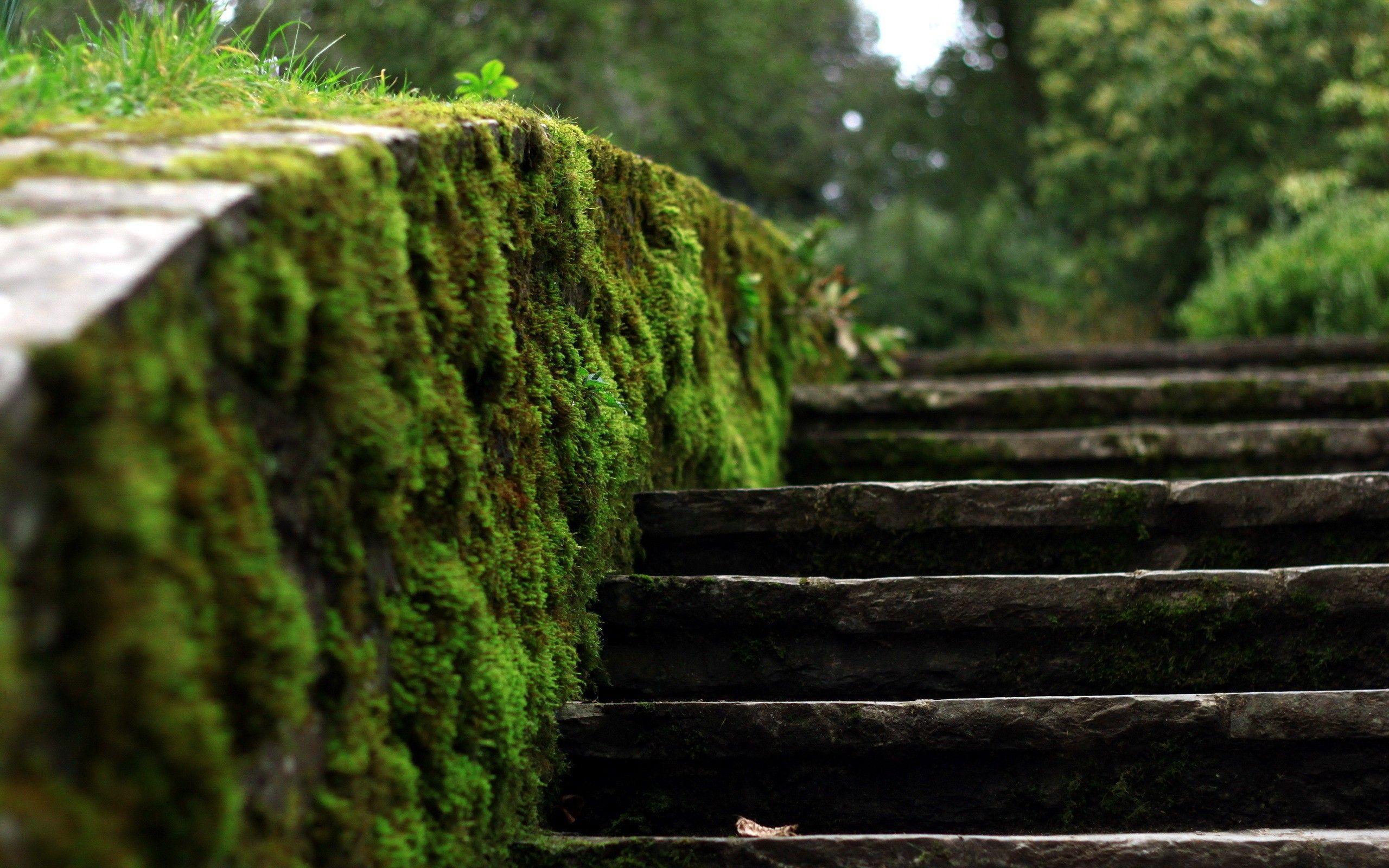 Stairs Background