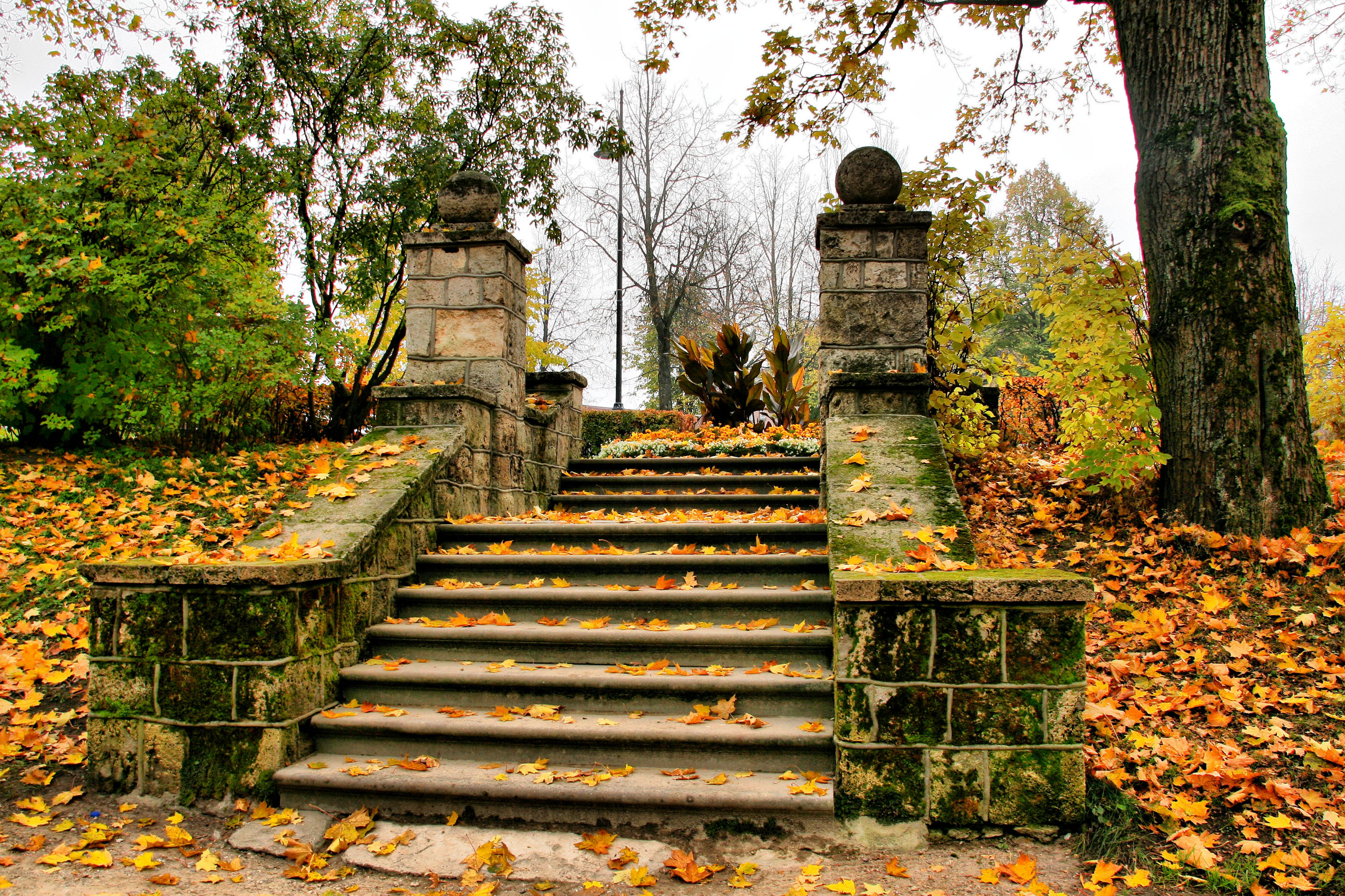 Stairs Background