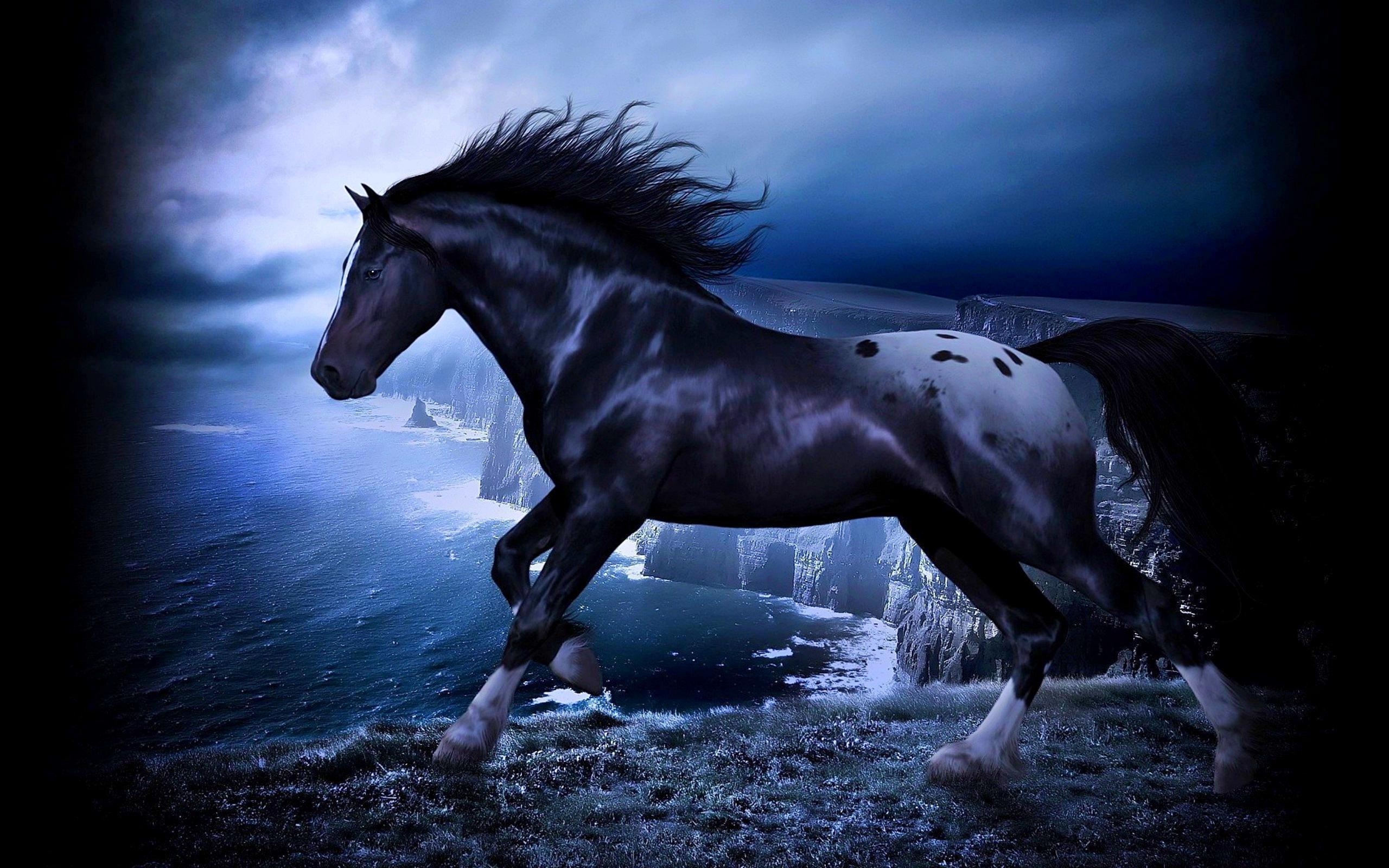 Stallion Wallpapers