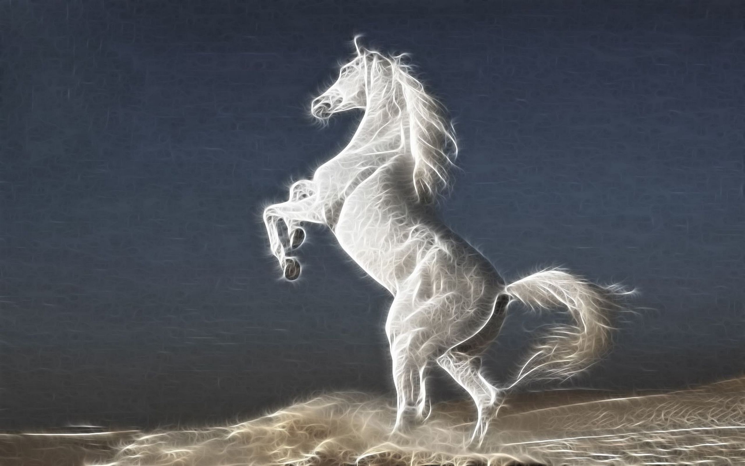 Stallion Wallpapers