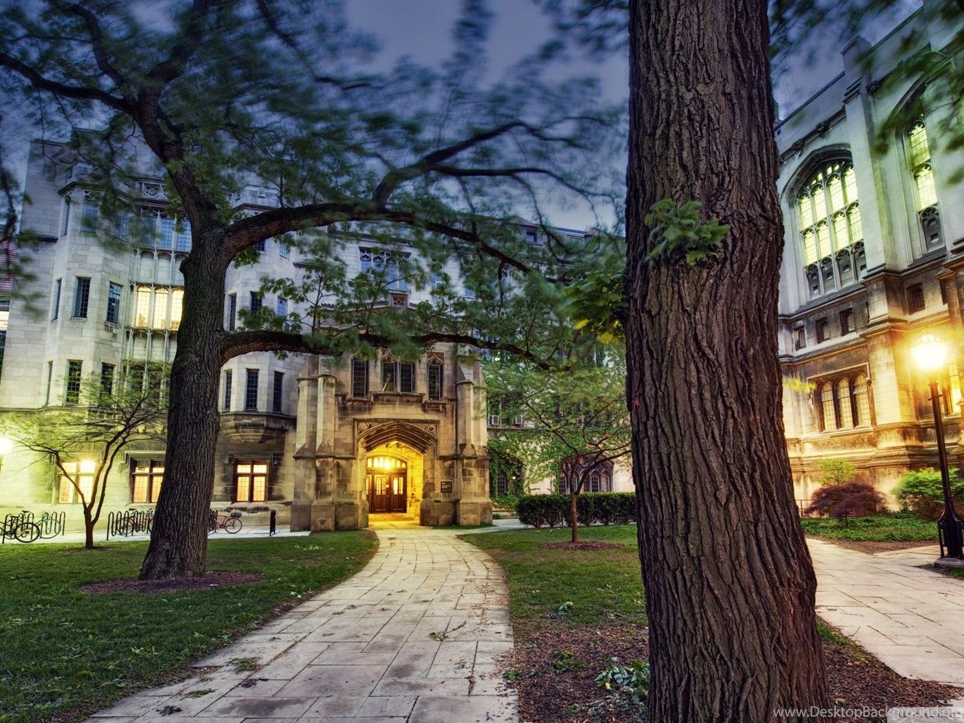 Stanford University Wallpapers