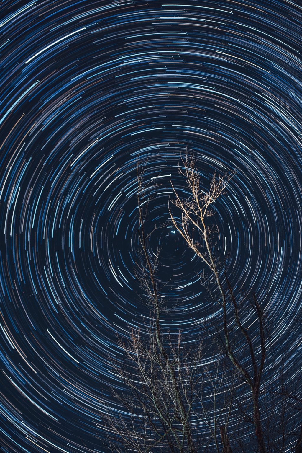 Star Trails Over The Lone Cabin Wallpapers