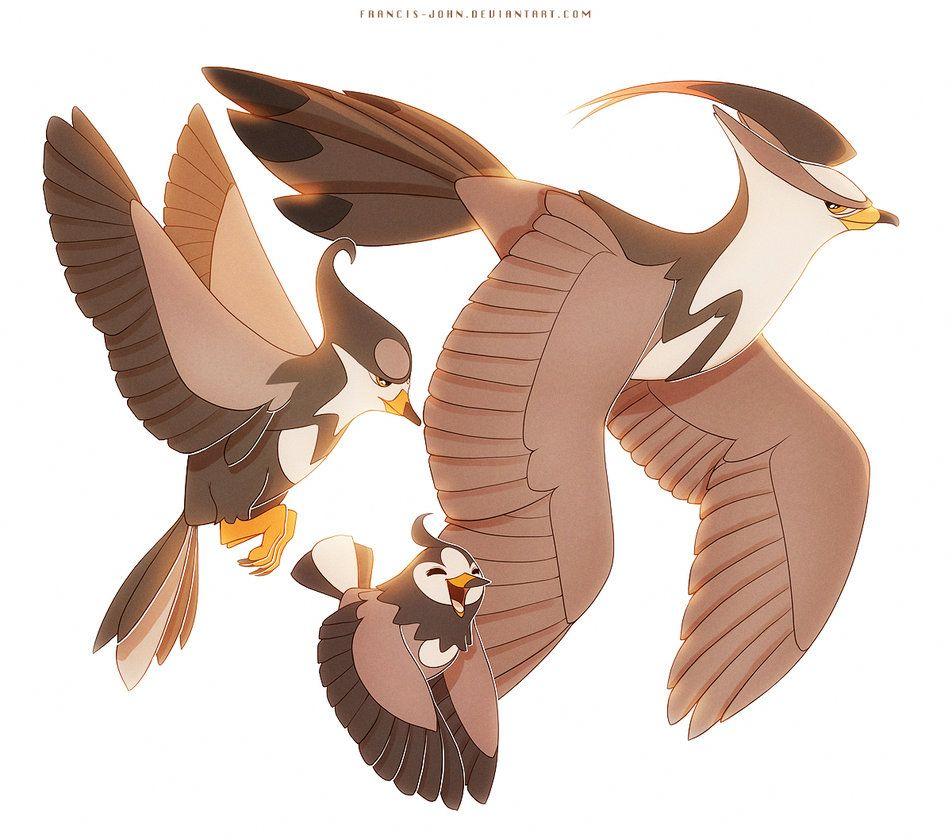 Staravia Hd Wallpapers