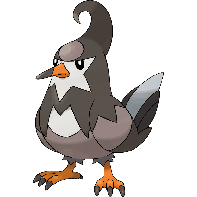 Staravia Hd Wallpapers