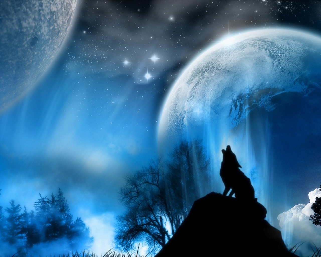 Staring At The Moon
 Wallpapers