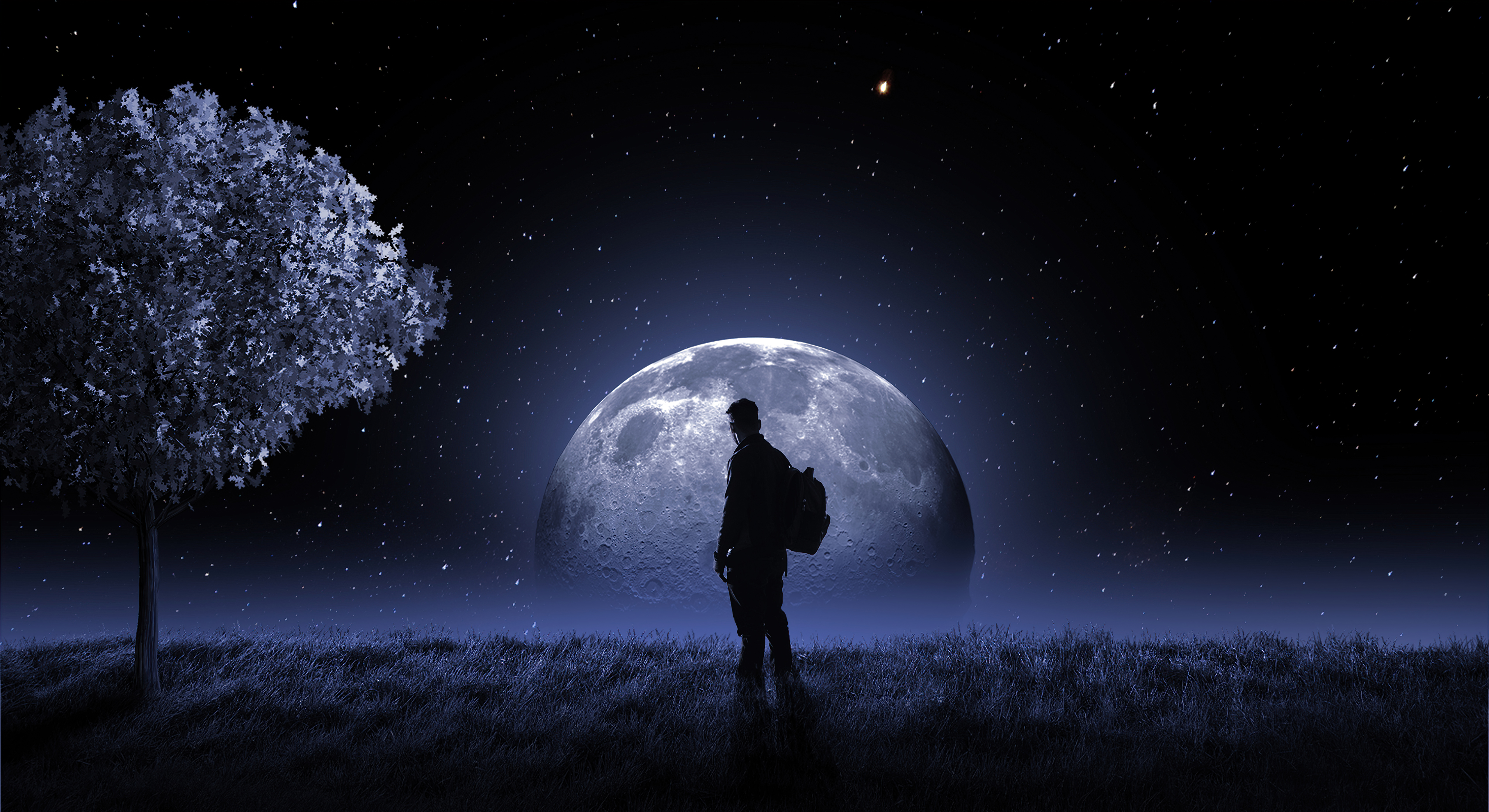 Staring At The Moon
 Wallpapers