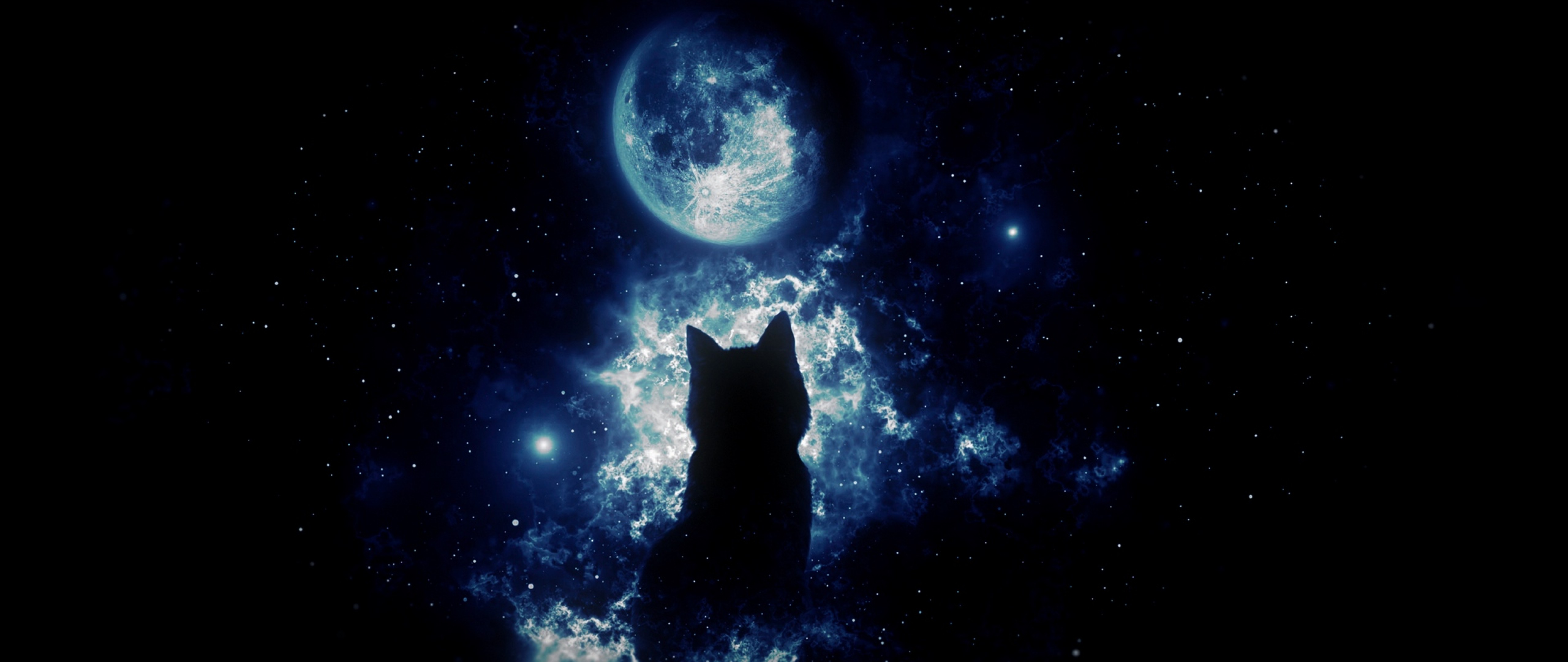 Staring At The Moon
 Wallpapers