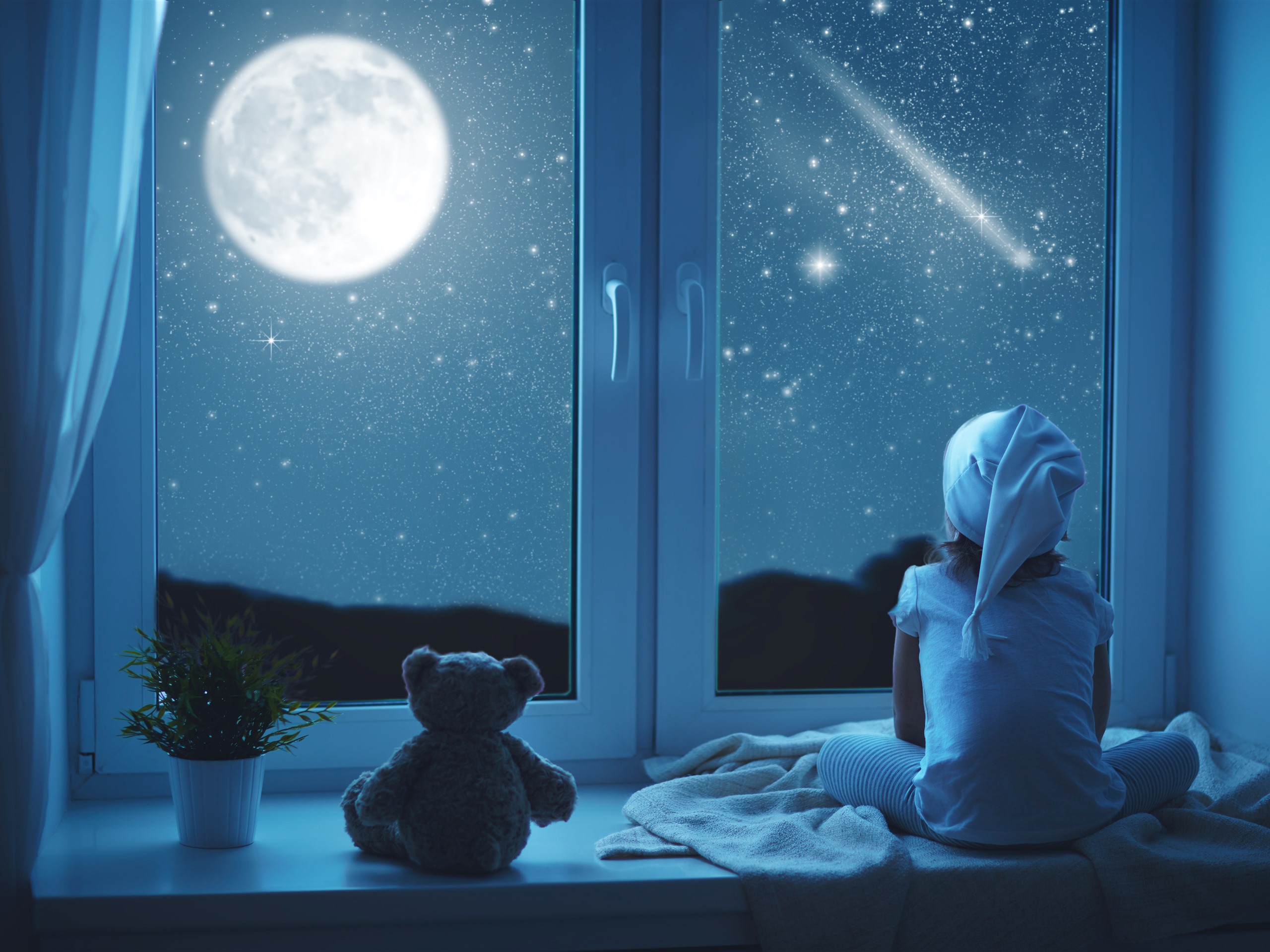 Staring At The Moon
 Wallpapers