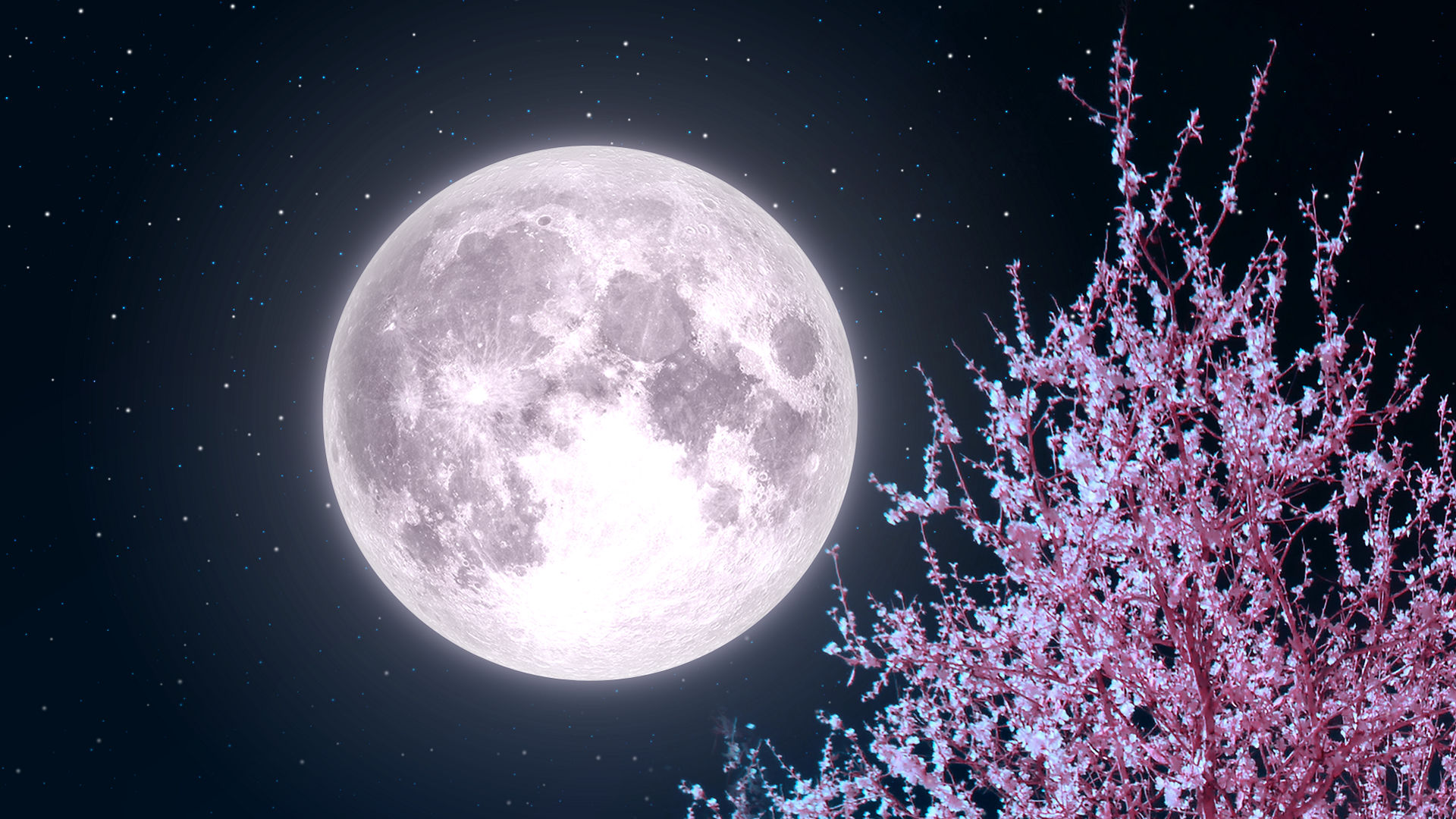Starry Moon Night 2020 Wallpapers