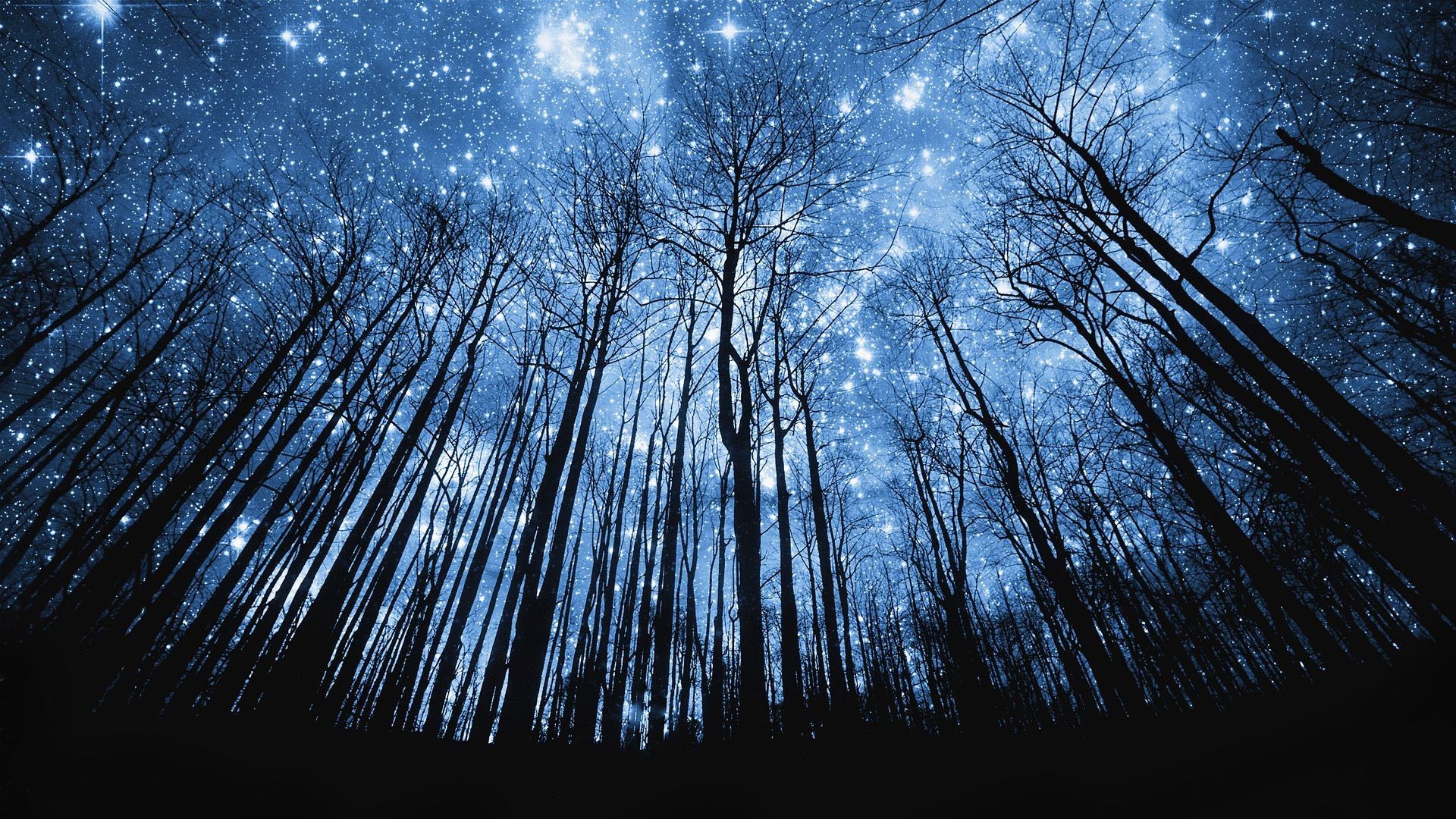 Starry Night Landscape Wallpapers