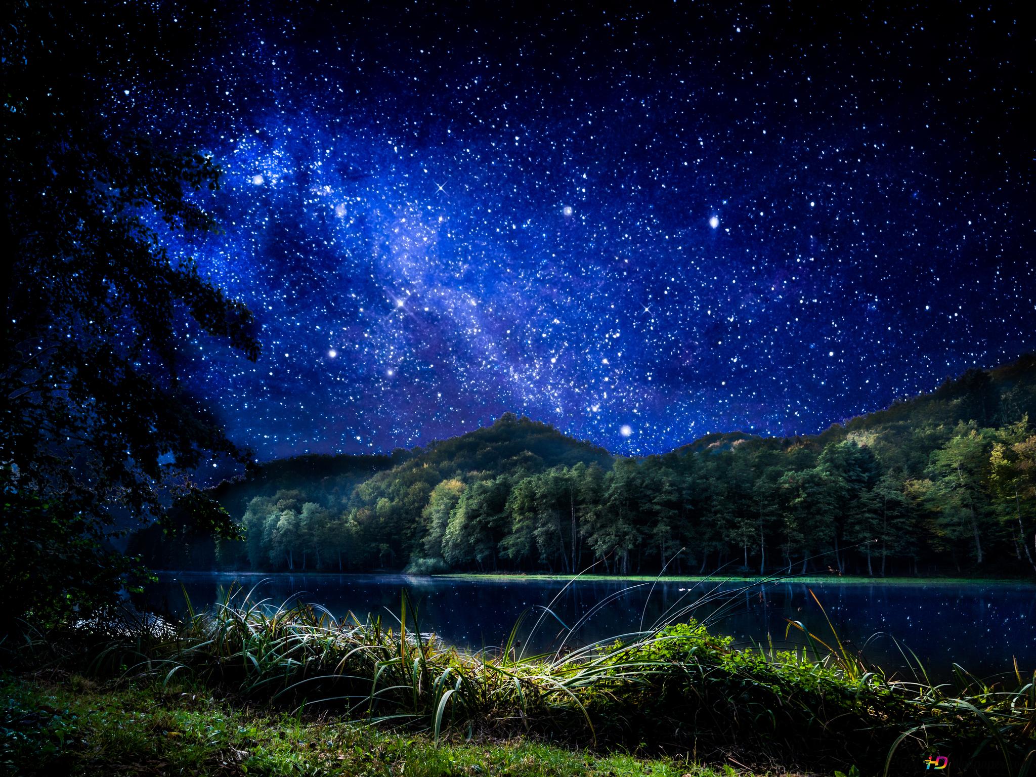 Starry Night Sky Near Lake Wallpapers